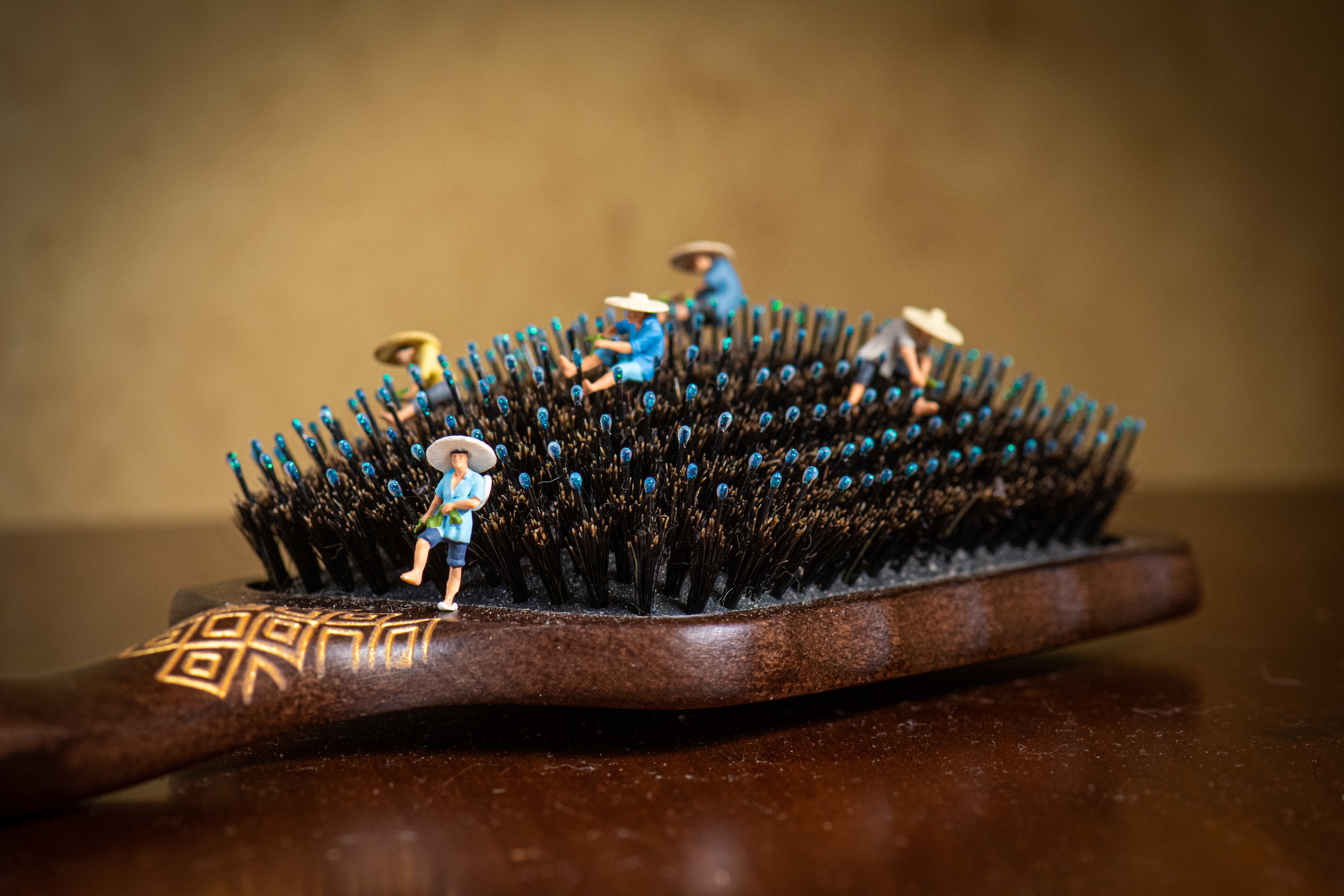 Quarantine Project day 176 - Went to brush my hair this morning and found these guys hard at work... Have a rice day. Projet quarantaine jour 176 – À ma ​​brosse à cheveux ce matin, ces ouvriers étaient tôt au travail ... Passez une bonne journée.