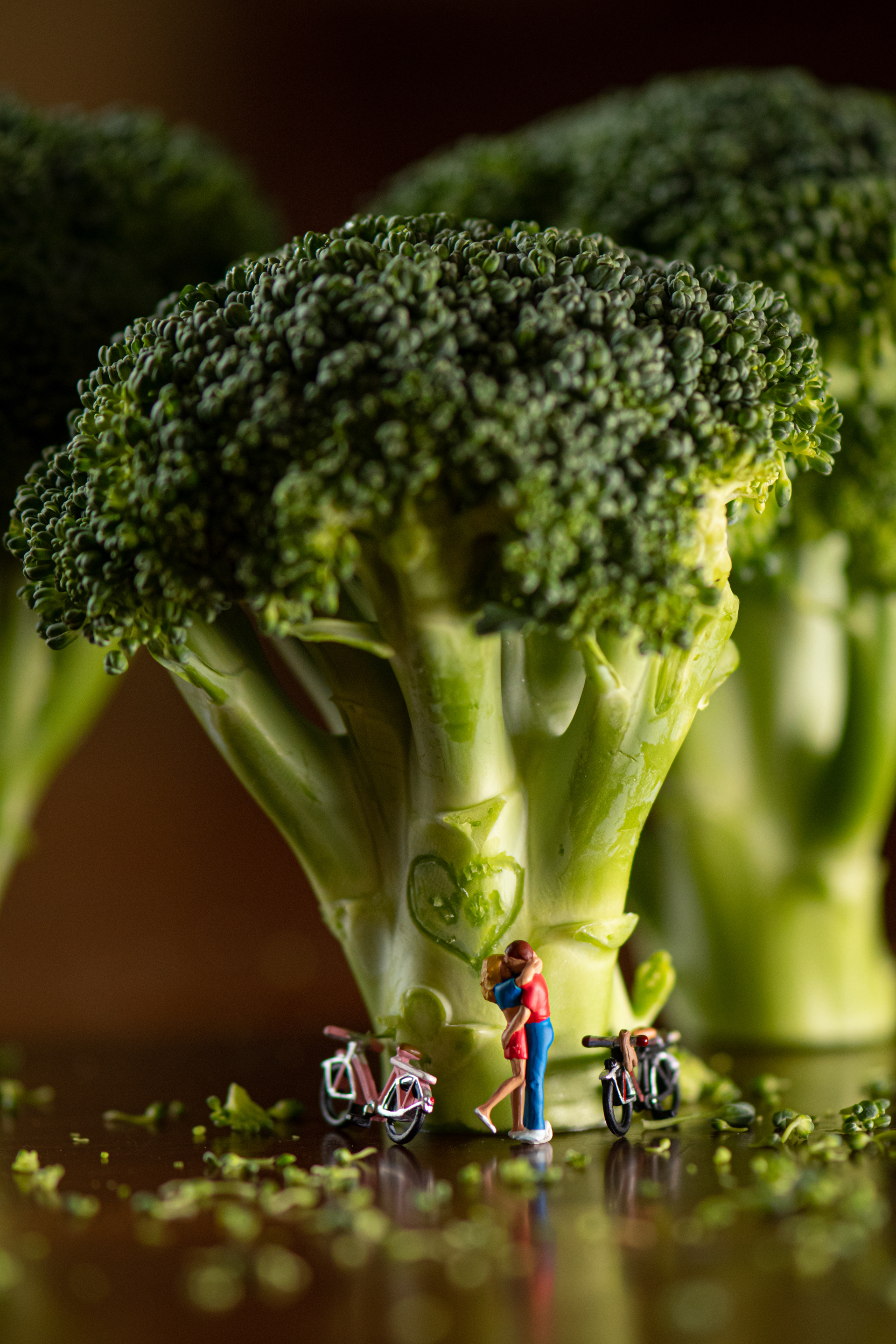 Quarantine Project day 111 - Falling in love under a broccoli tree. Projet quarantaine jour 111 - Tomber en amour sous un arbre brocoli.