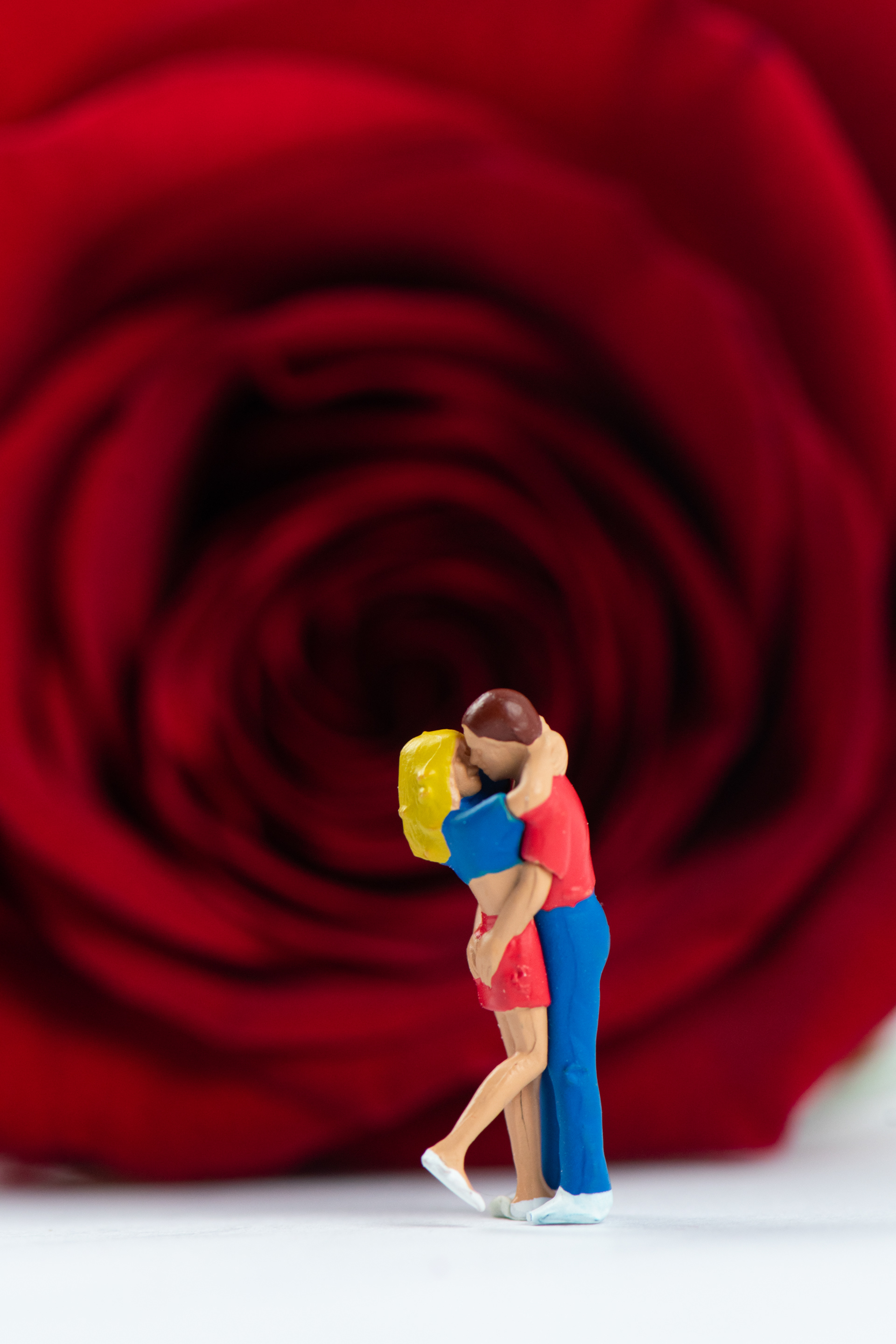 Quarantine Project Day 339 - You can complain because roses have thorns or you can rejoice because thorns have roses - Pablo Picasso