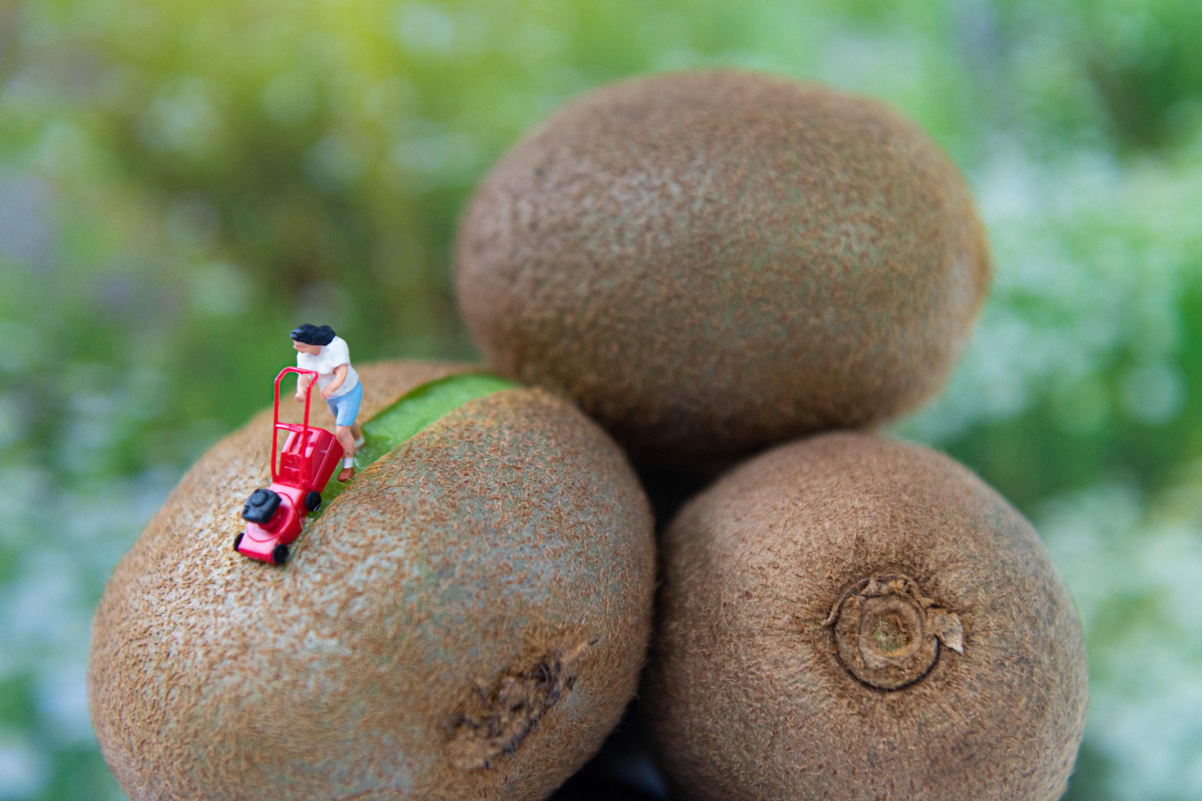 Quarantine Project Day 52 - It's that time of the year, time to start cutting the lawn. Projet quarantaine jour 52 – C’est le début de la saison des tondeuses à gazon.