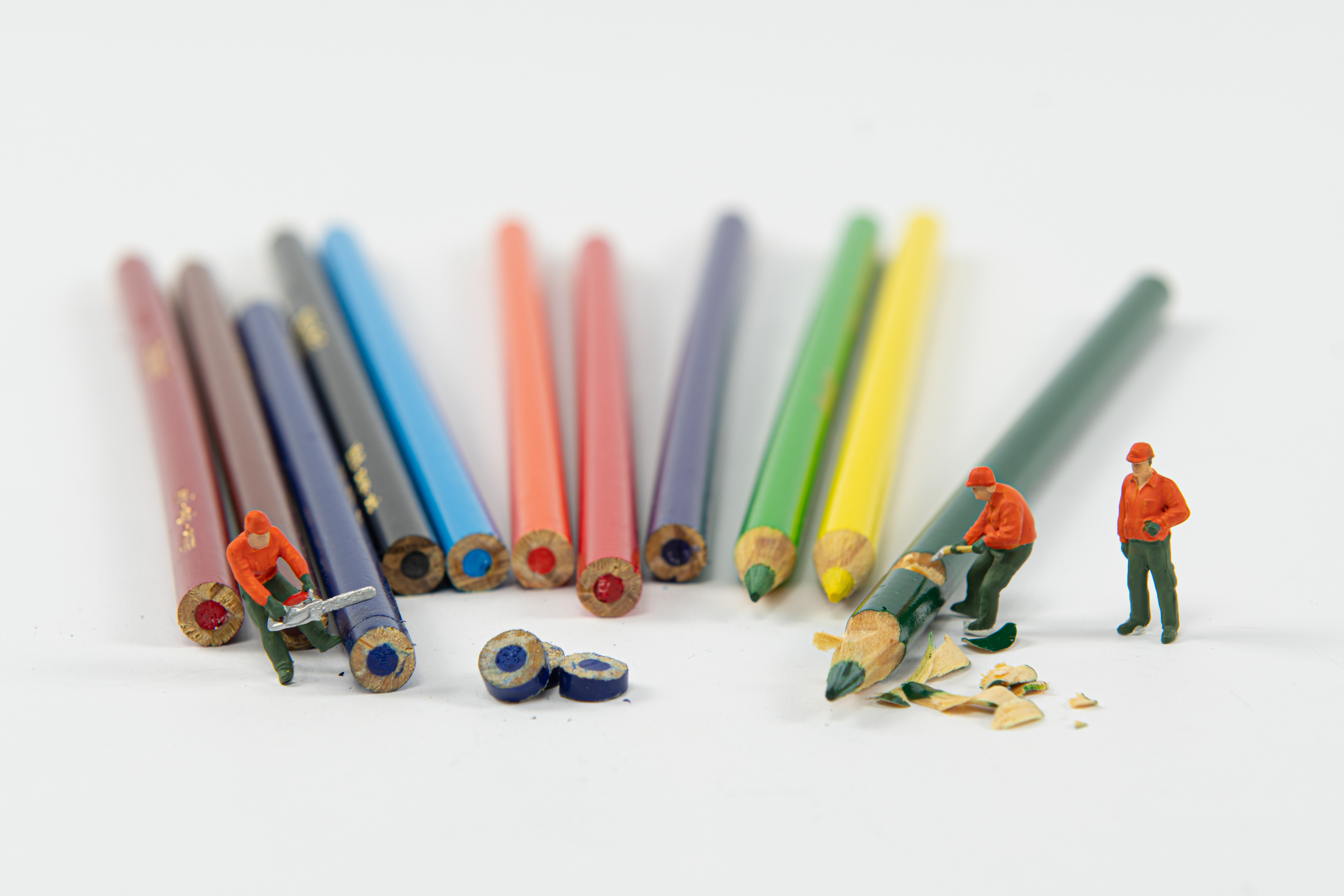 Quarantine Project Day 11 - Focus Camera Club Challenge: Theme = Wood. Projet quarantaine jour 11 – Premier défi du club Focus Camera: bois.