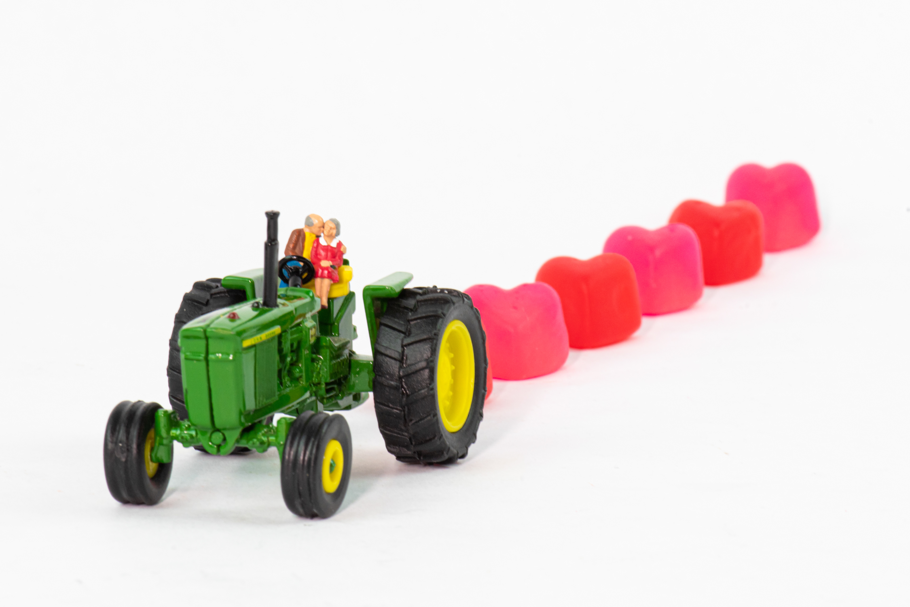 Quarantine Project Day 318 - When you plant seeds of love, it is you that blossoms.