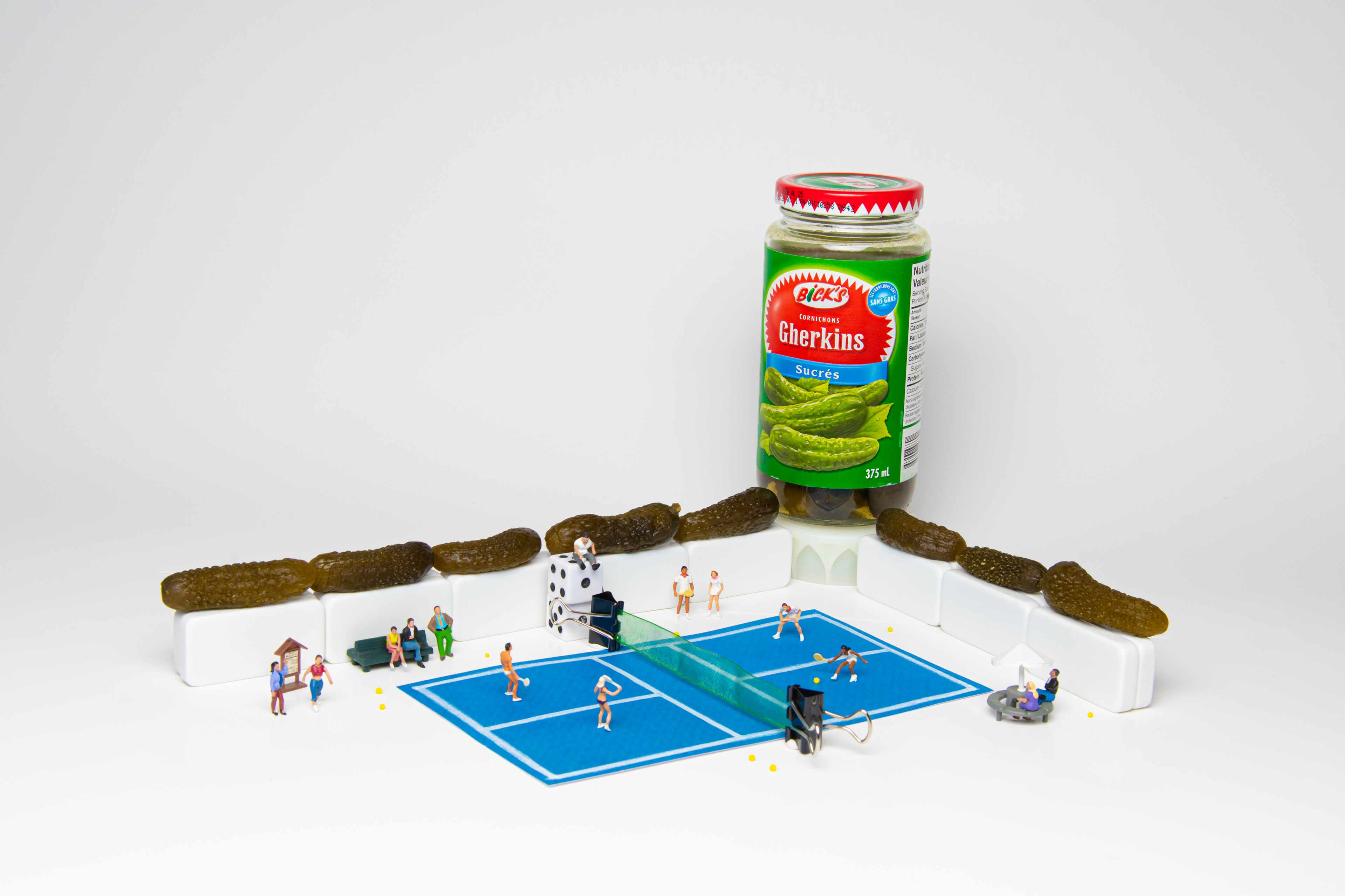 Quarantine Project Day 8 - This one is for my sister, "The pickleball addict". Projet quarantaine jour 8 - Pour ma soeur, l’accro du “pickleball”. 