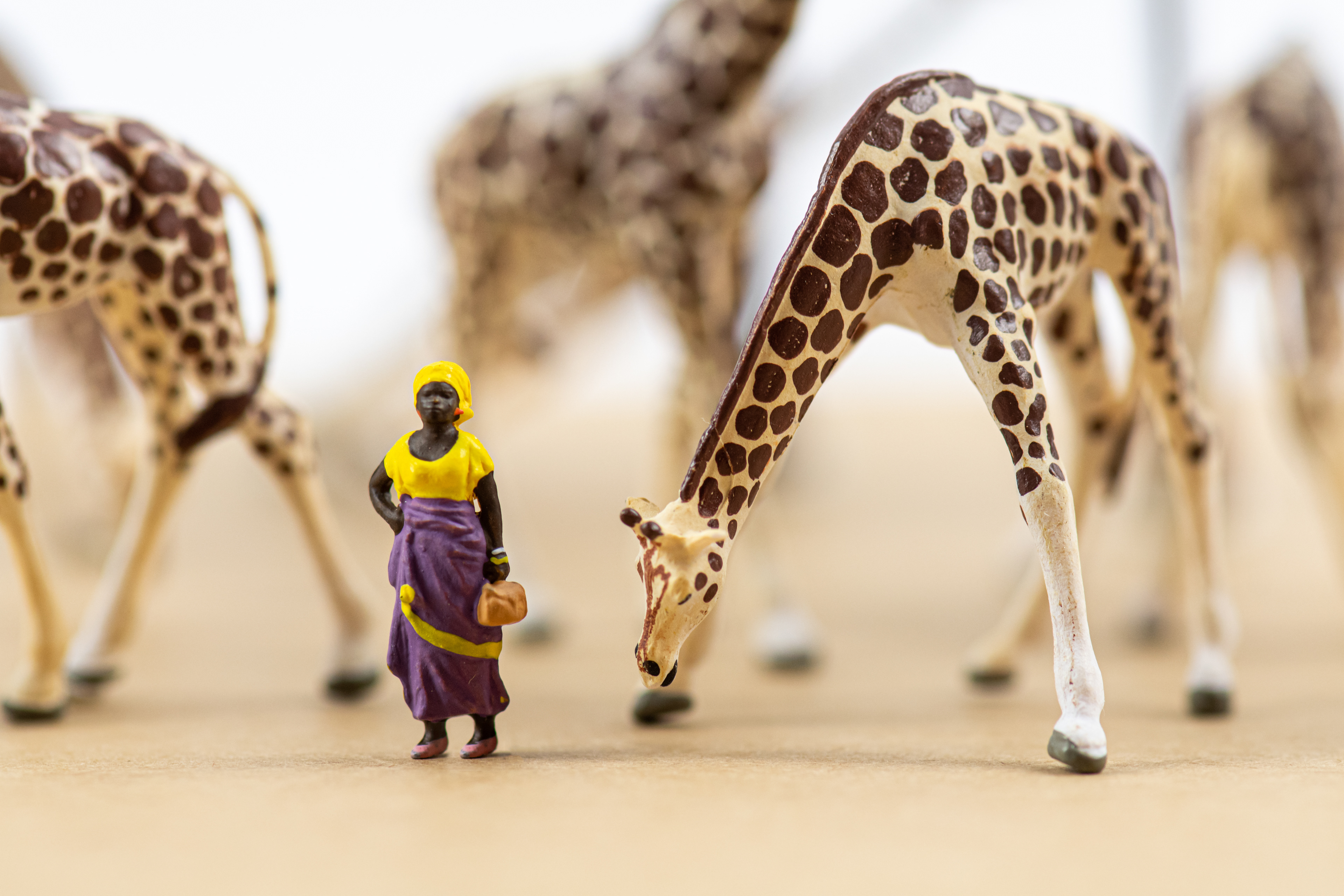 Quarantine Project Day 370 - Aim high, stand tall and get spotted