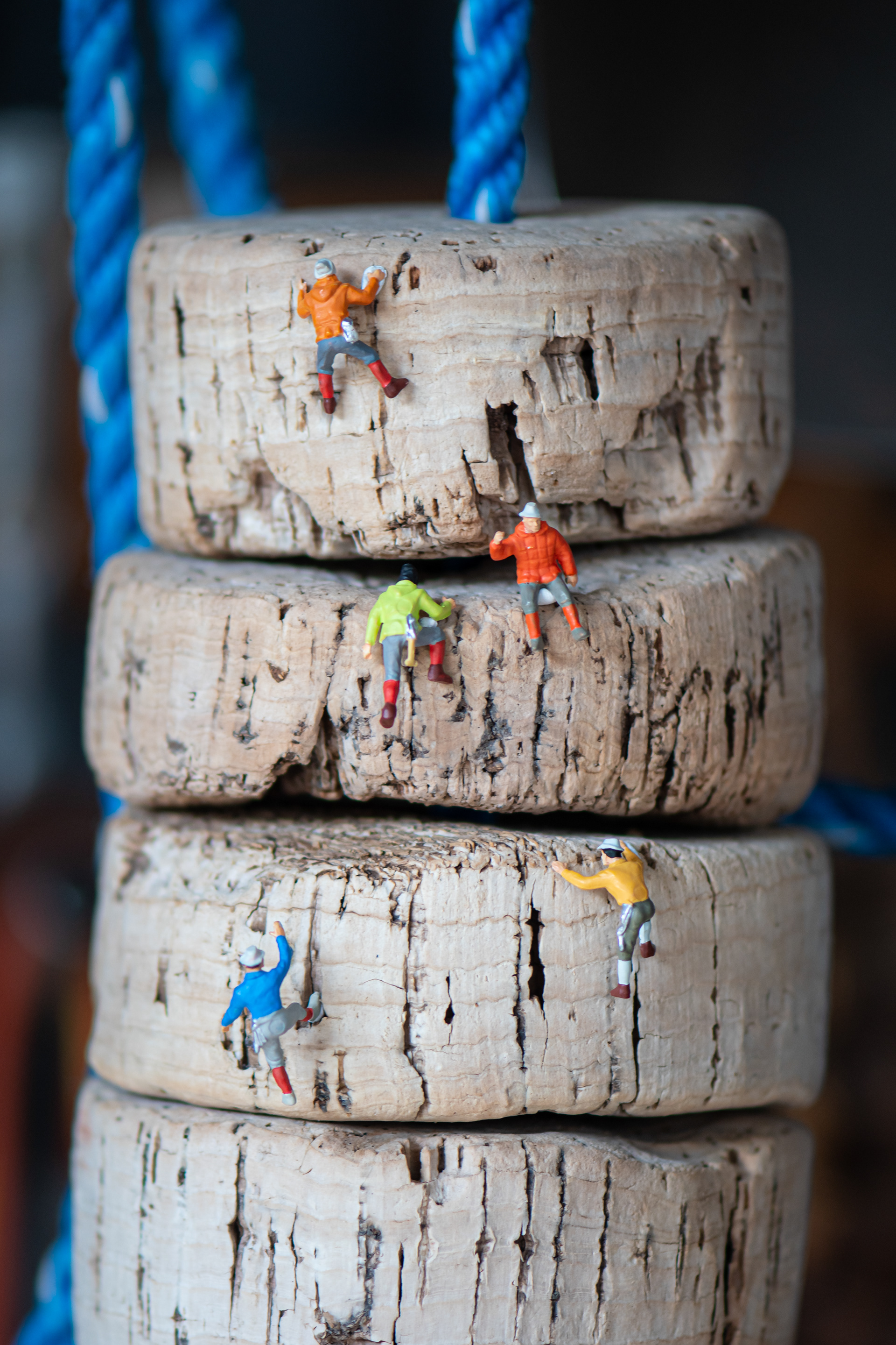 Quarantine Project Day 208 - Sometimes life is a tough climb.