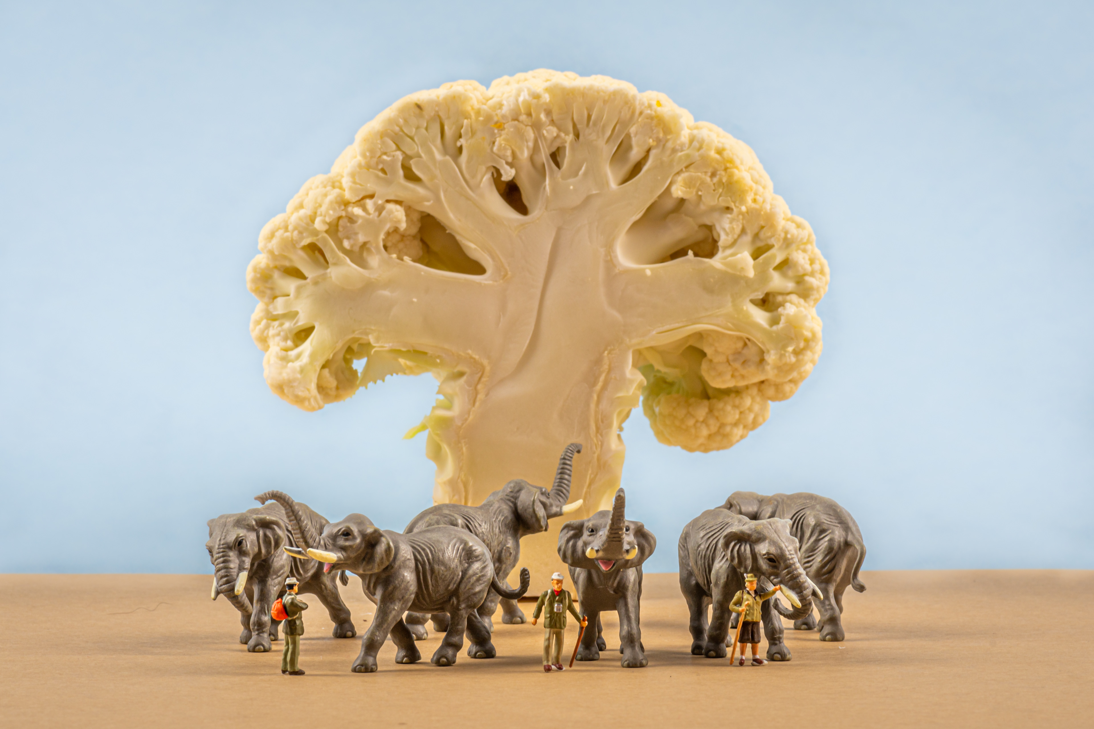 Quarantine Project Day 371 - You hold the strength of an elephant within you