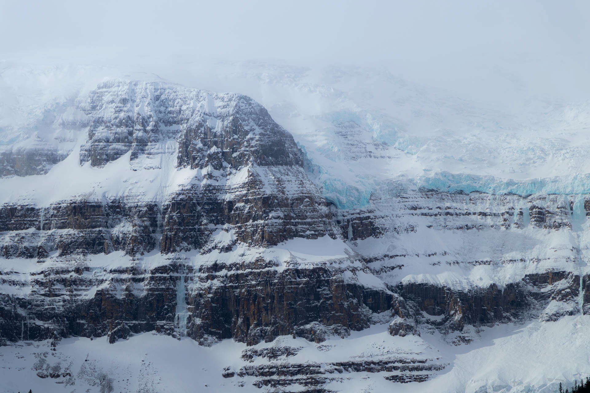Icy Realm