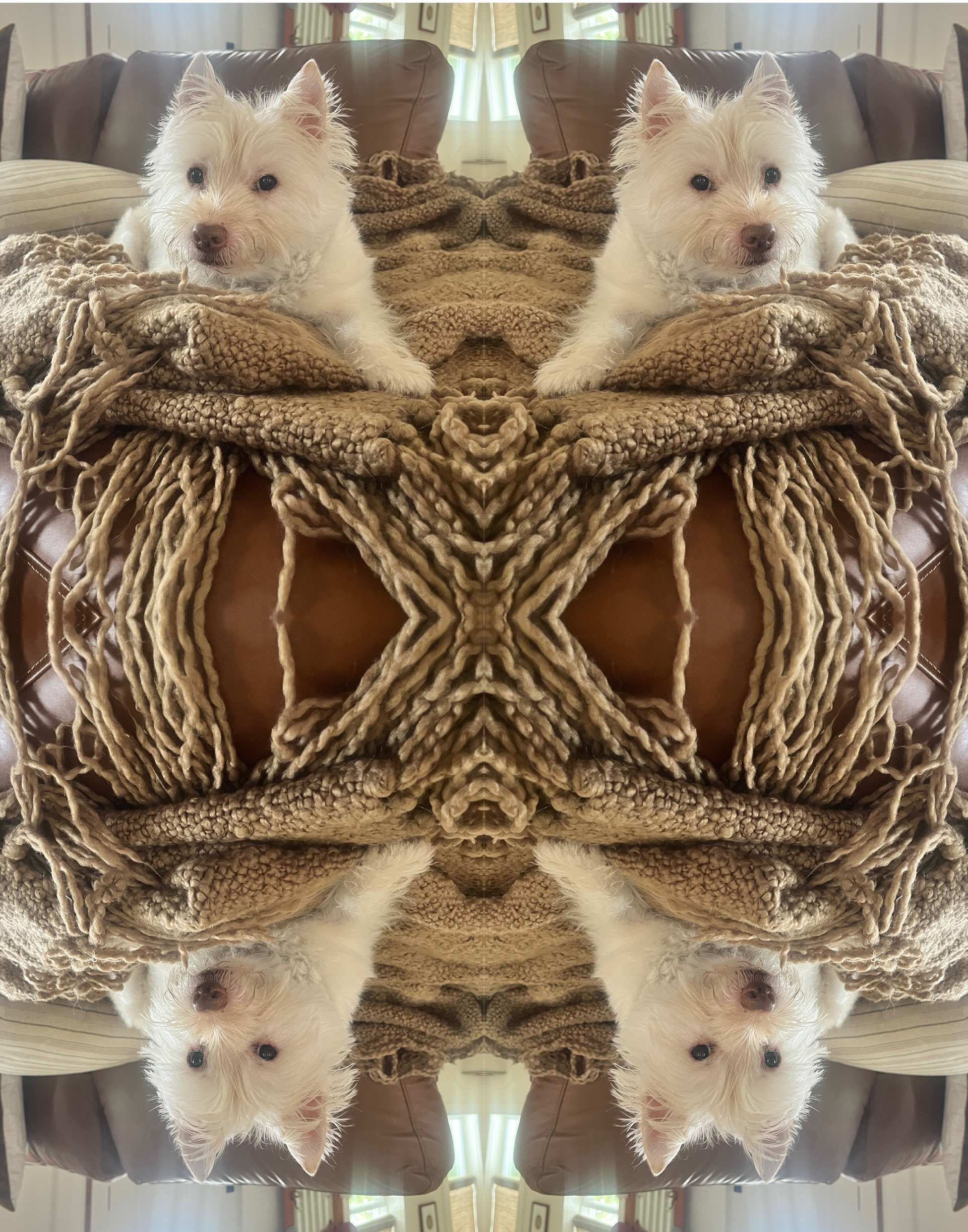 Walter