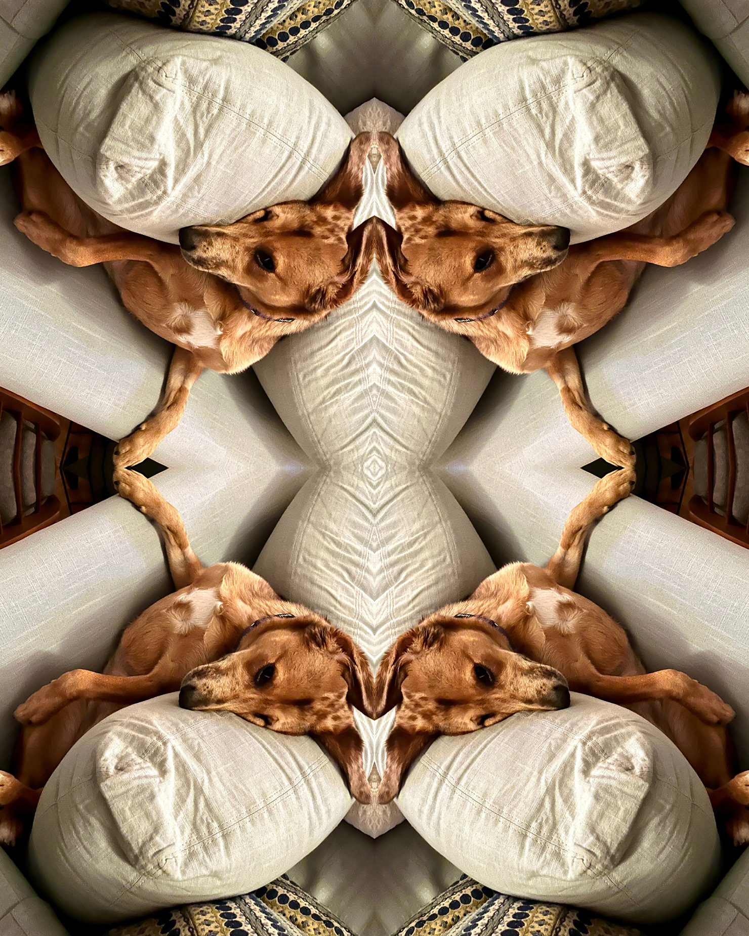 Esther