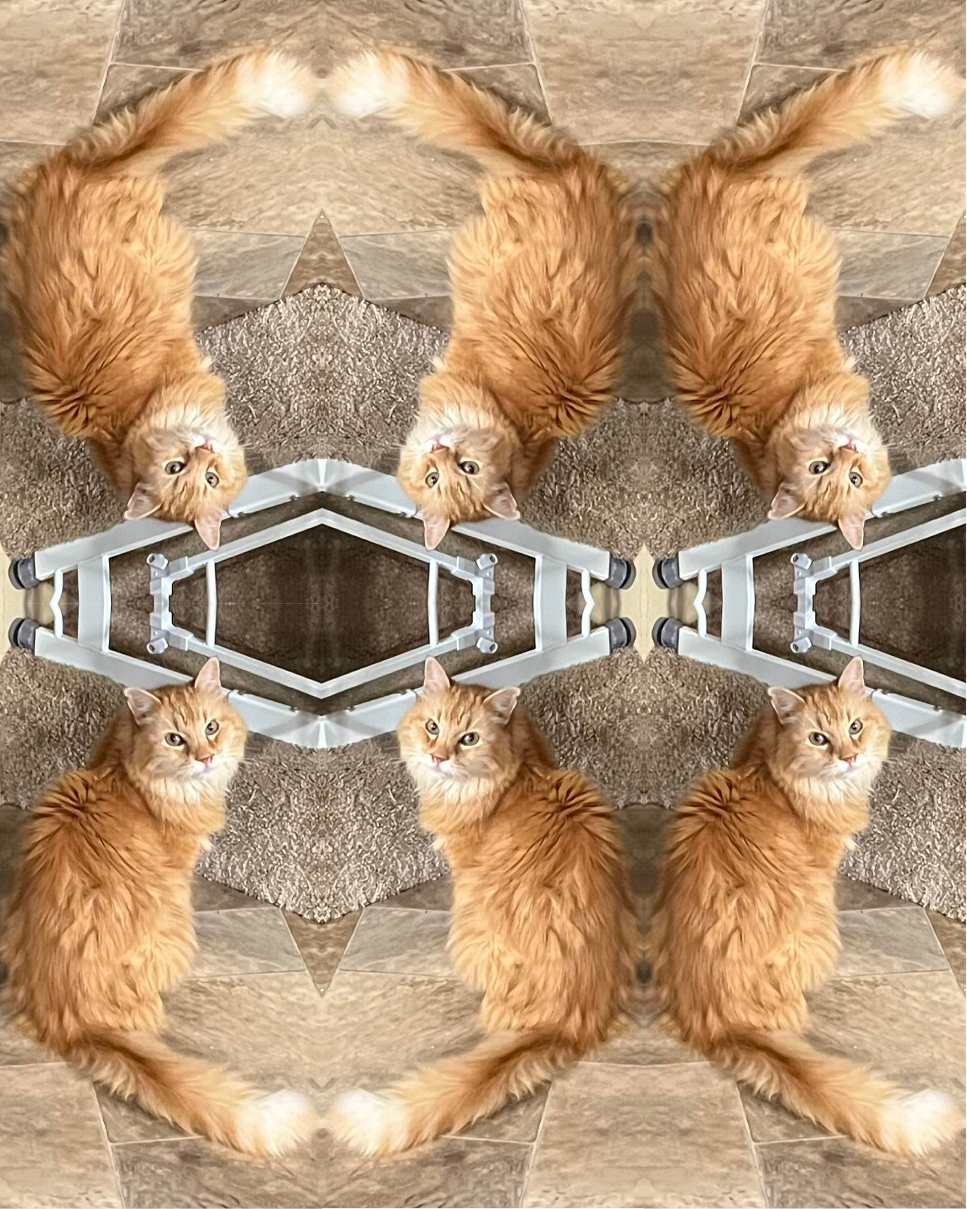 George