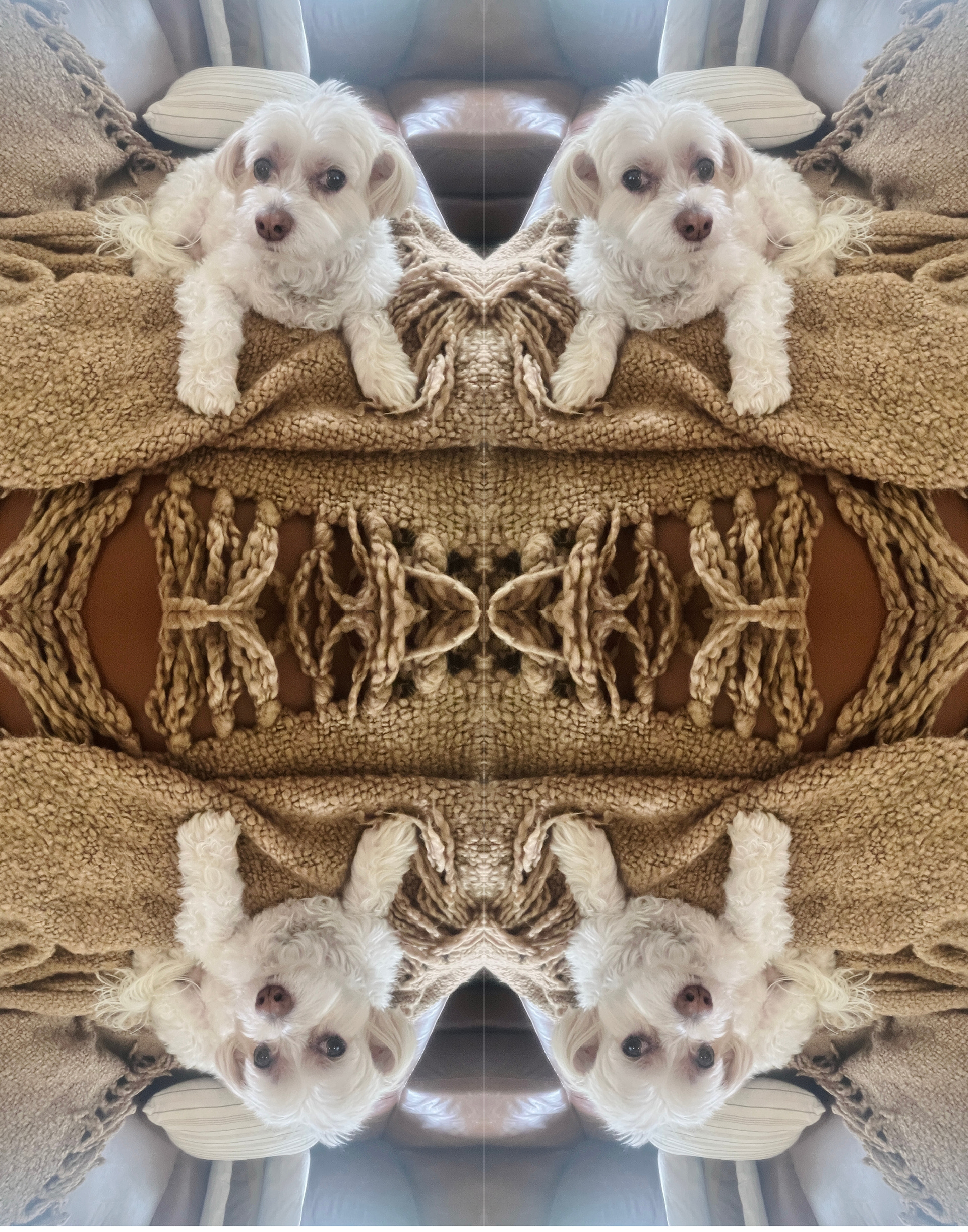 Rudy
