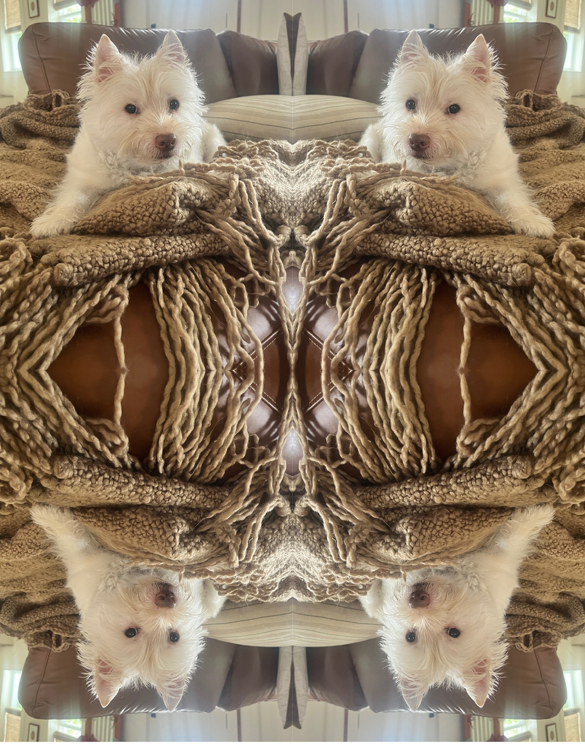 Walter