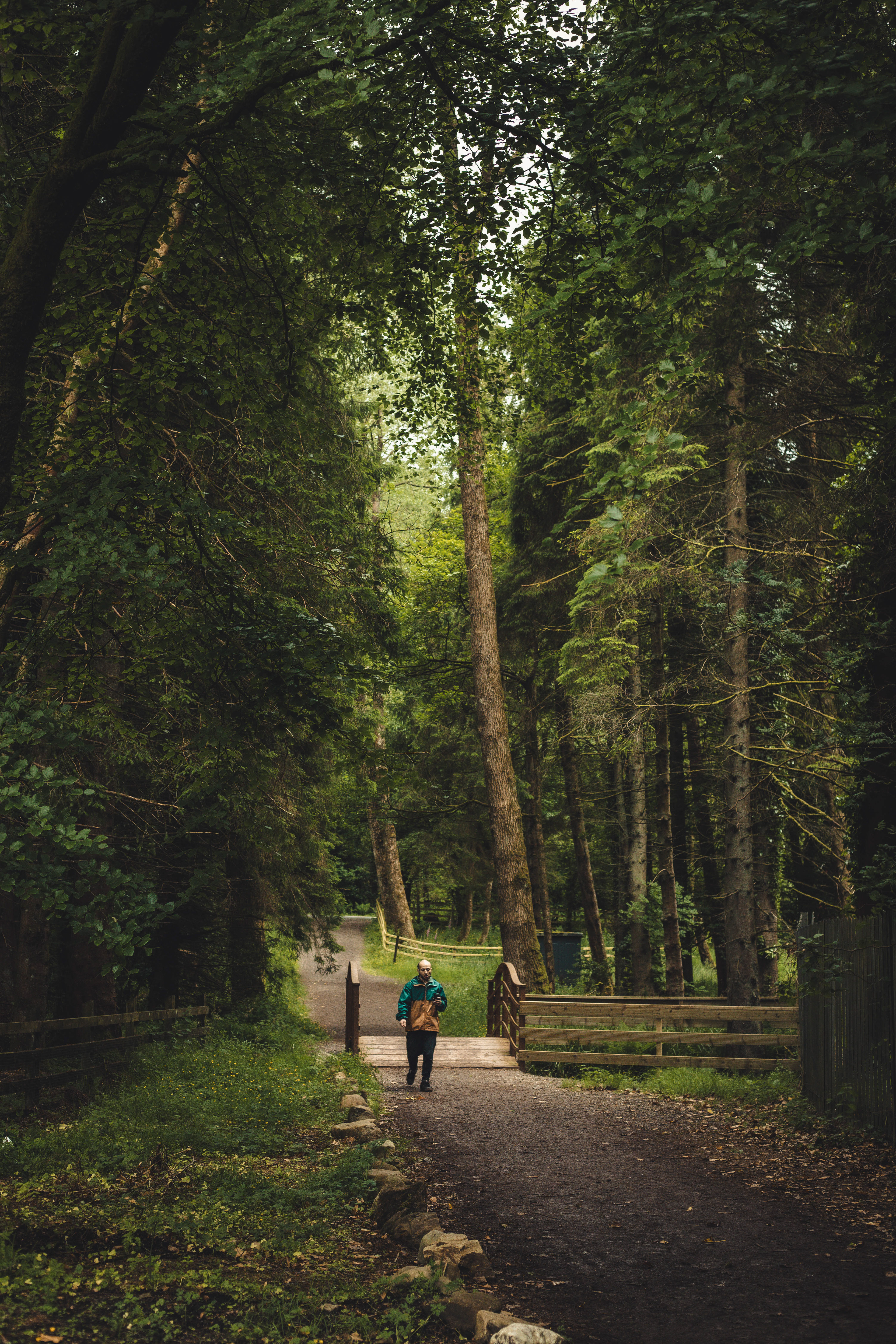 United Tribes Festival - UK