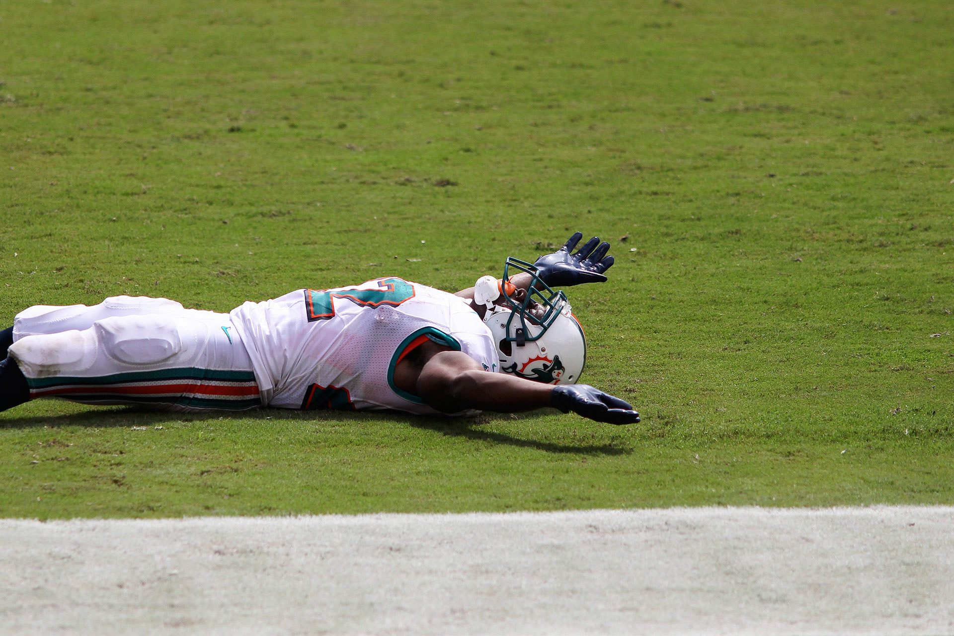 Reggie Bush #22 of the Miami Dolphins celebrates a touchdown