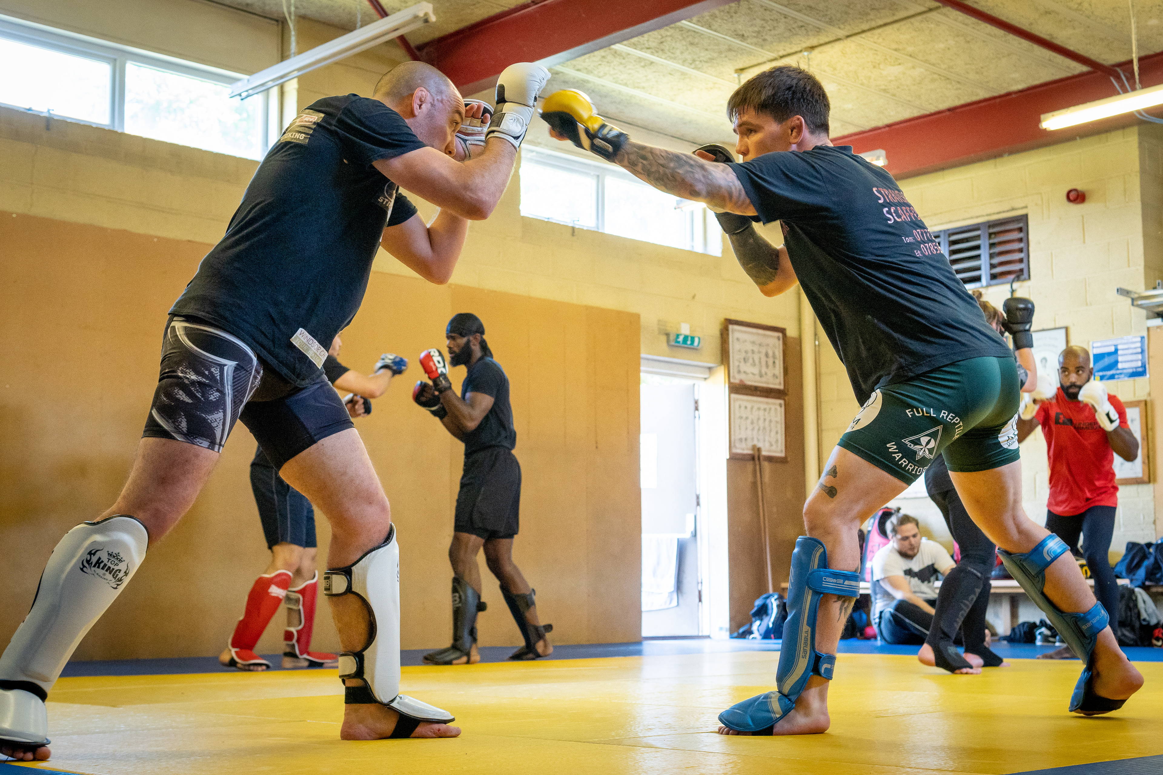 Apex MMA