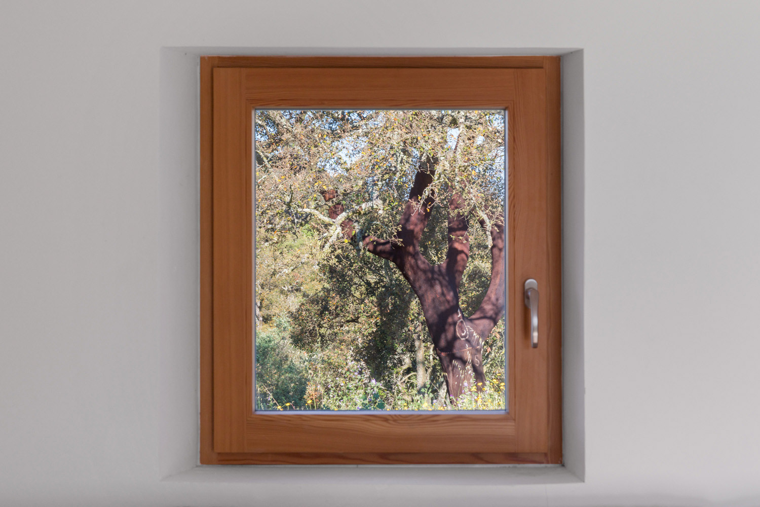 Fotografia de Arquitectura - Attilio Fiumarella - Marchi Architectes - Casa da Volpe