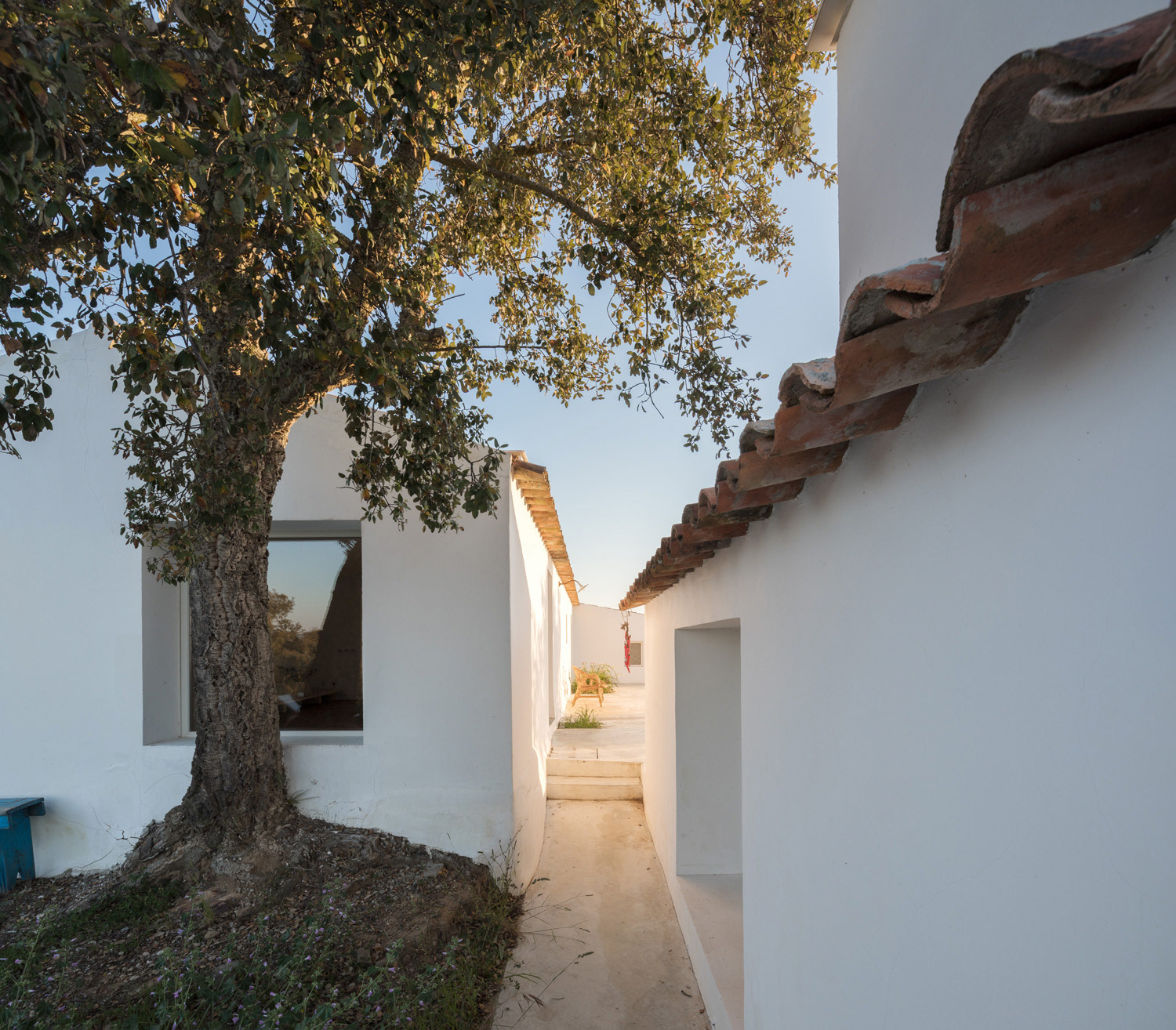 Fotografia de Arquitectura - Attilio Fiumarella - Marchi Architectes - Casa da Volpe