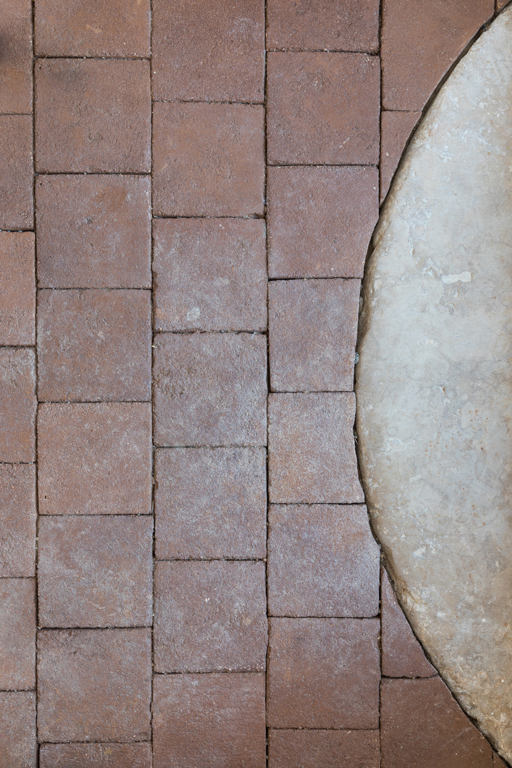 Fotografia de Arquitectura - Attilio Fiumarella - Marchi Architectes - Casa da Volpe