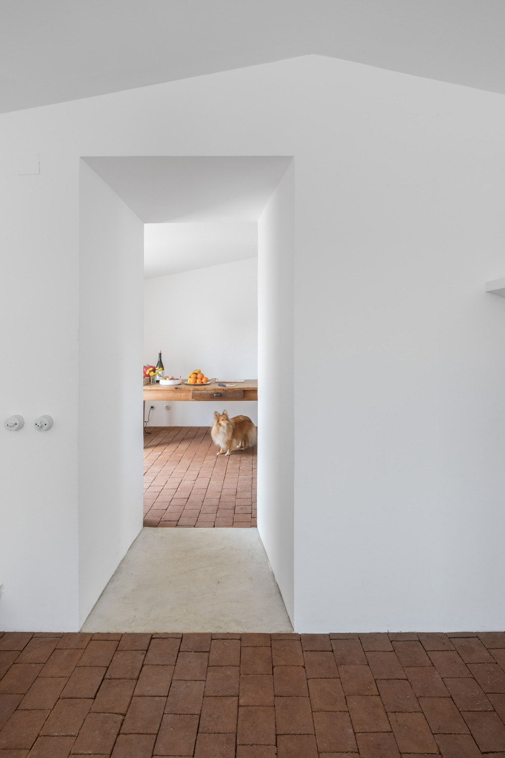 Fotografia de Arquitectura - Attilio Fiumarella - Marchi Architectes - Casa da Volpe