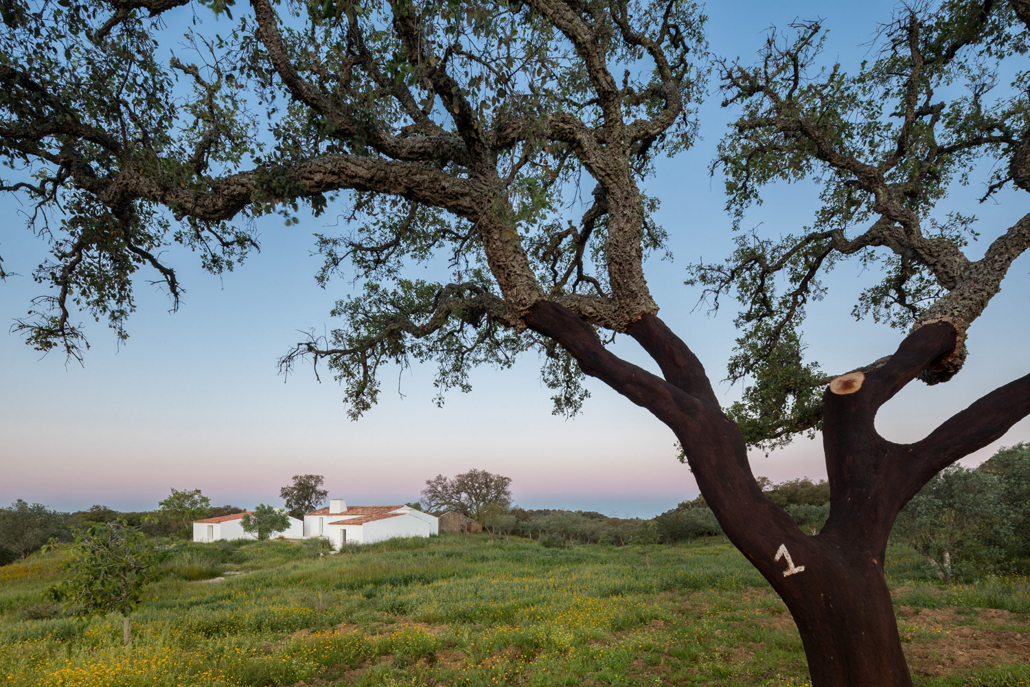 Fotografia de Arquitectura - Attilio Fiumarella - Marchi Architectes - Casa da Volpe