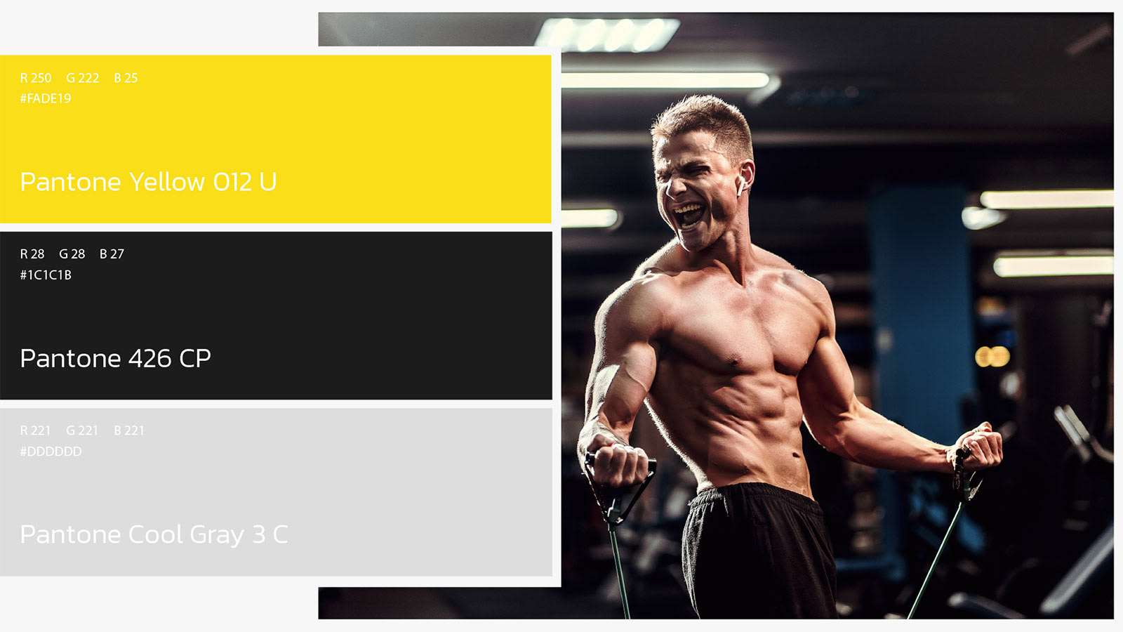 Paleta de cores e tipografia escolhidas para representar energia, foco e determinação no universo fitness.