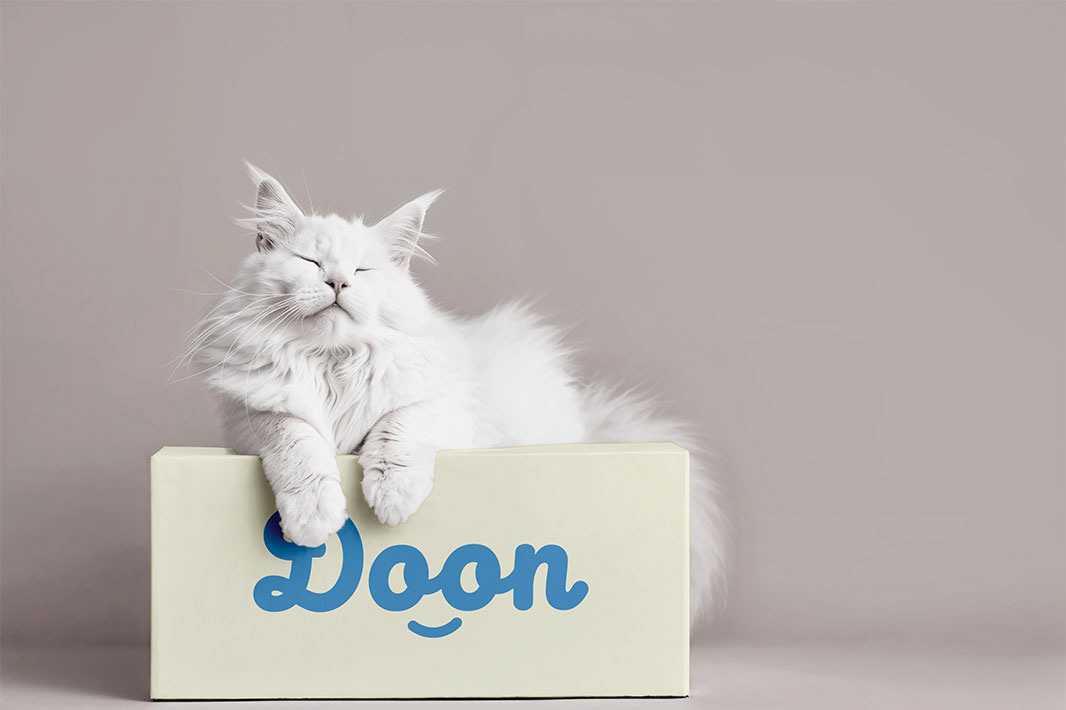 Logotipo da marca Doon em um fundo cinza com um gato branco ao lado