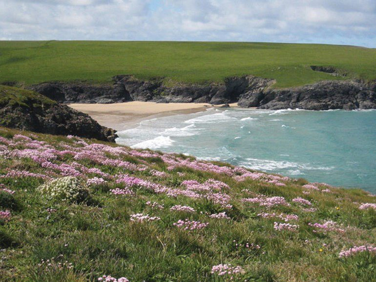 polly joke beach