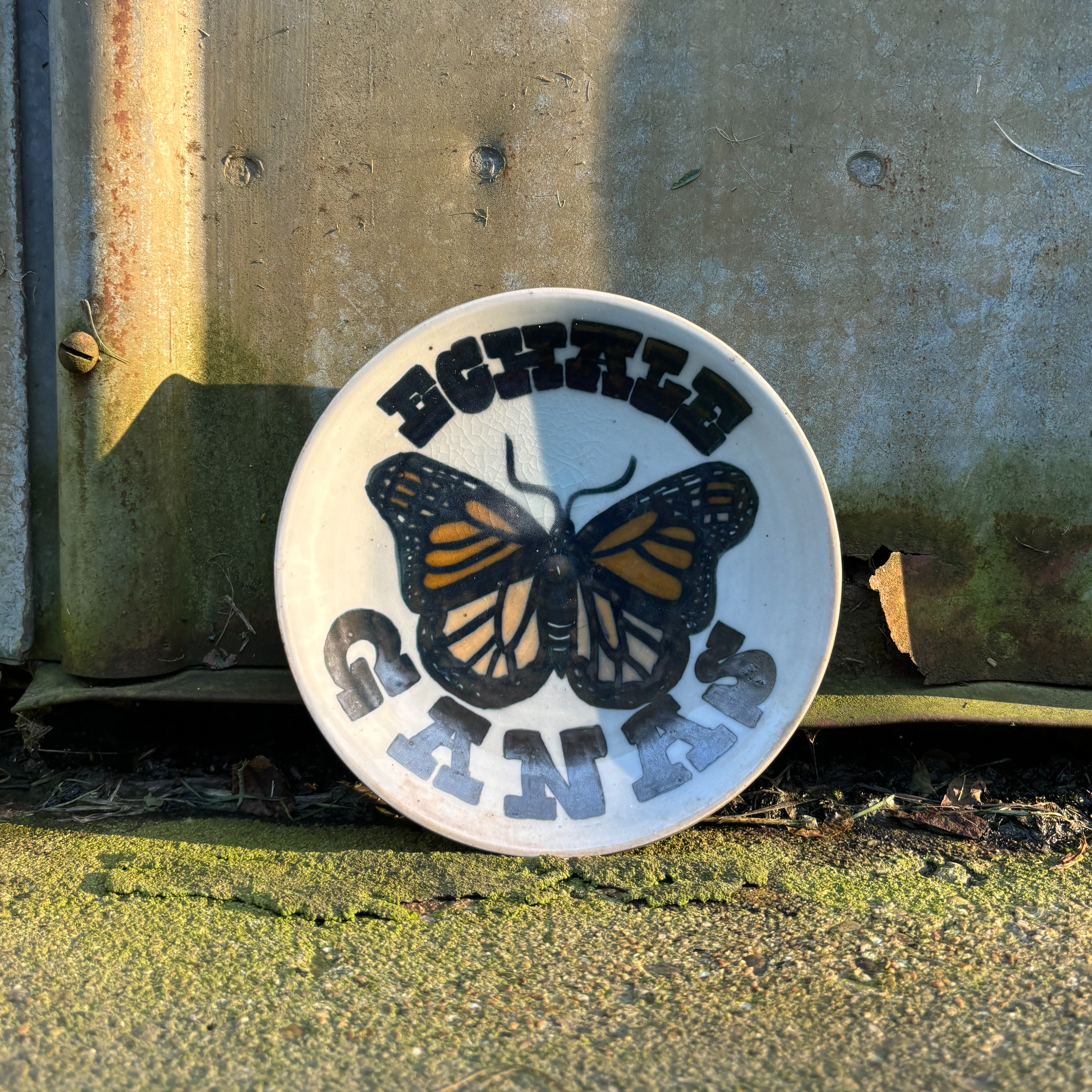 Echale Ganas Mariposa, 2023, porcelain