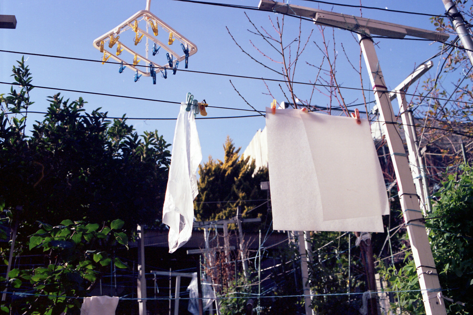 winter 2022, san francisco, CA