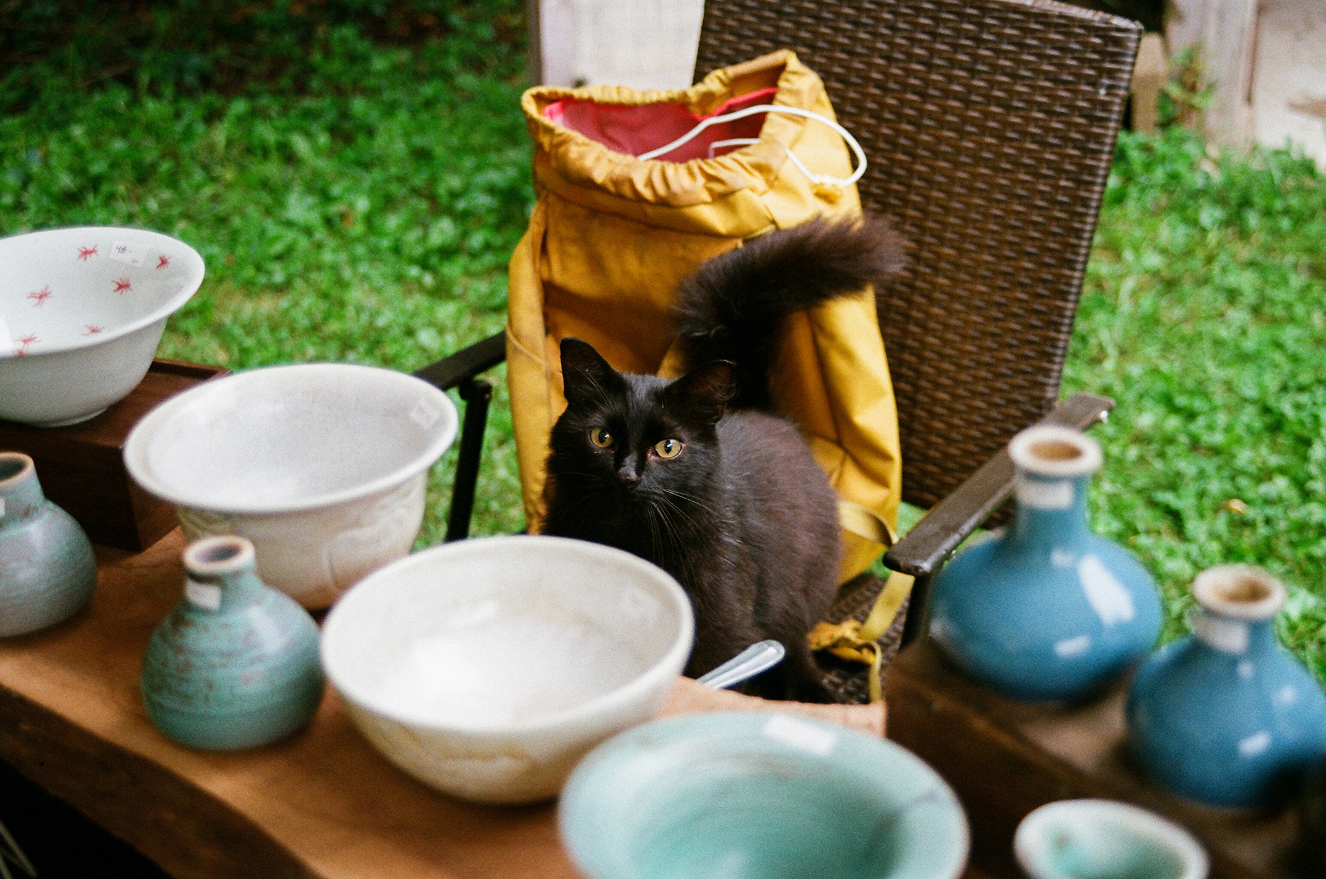 summer 2024, waterford, MN