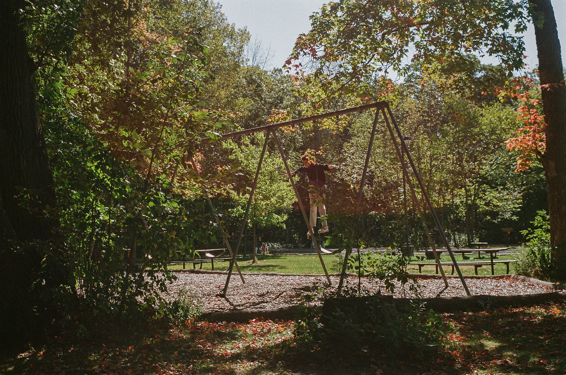 fall 2024, nerstrand, MN