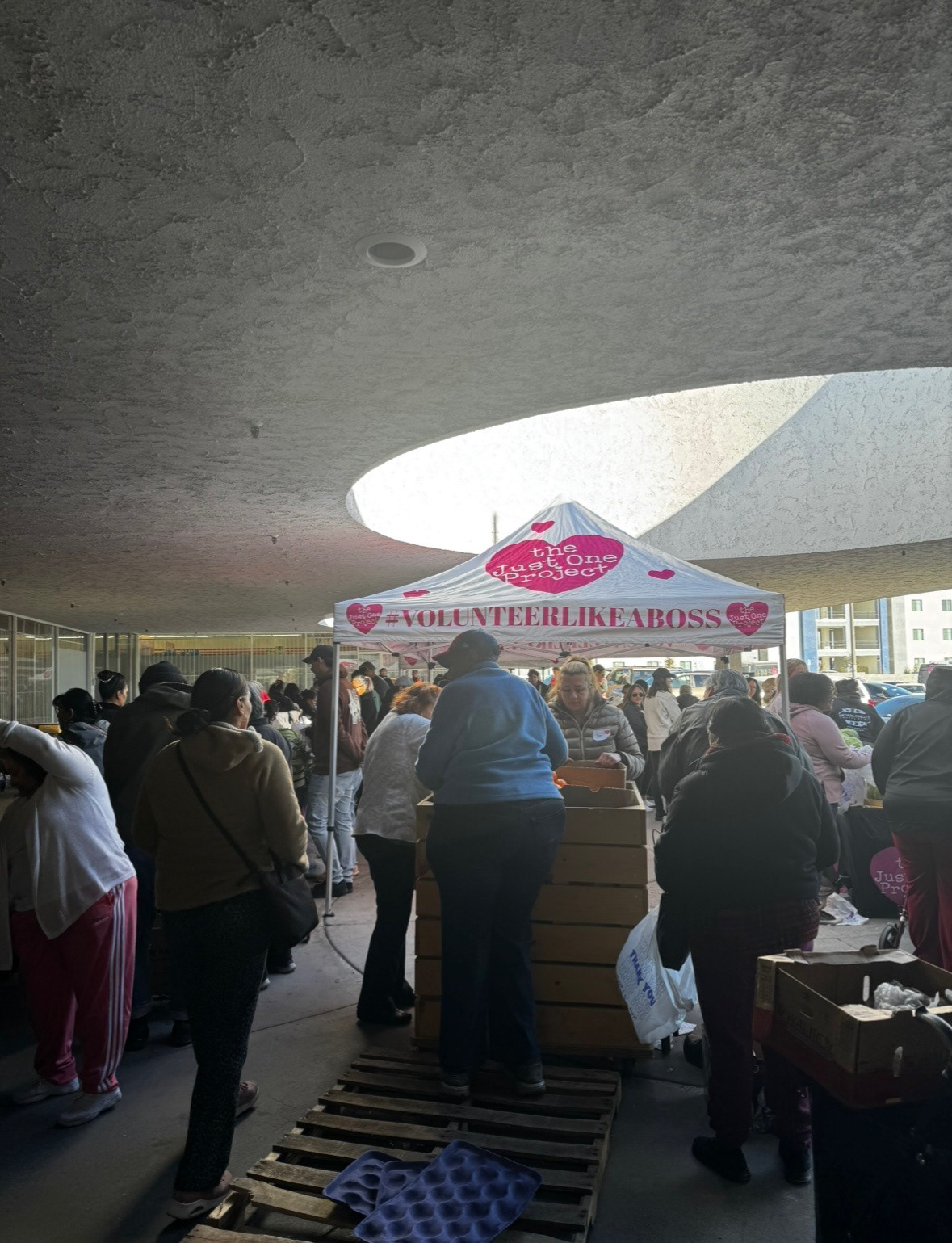 The Just One Project - Farmer's Market