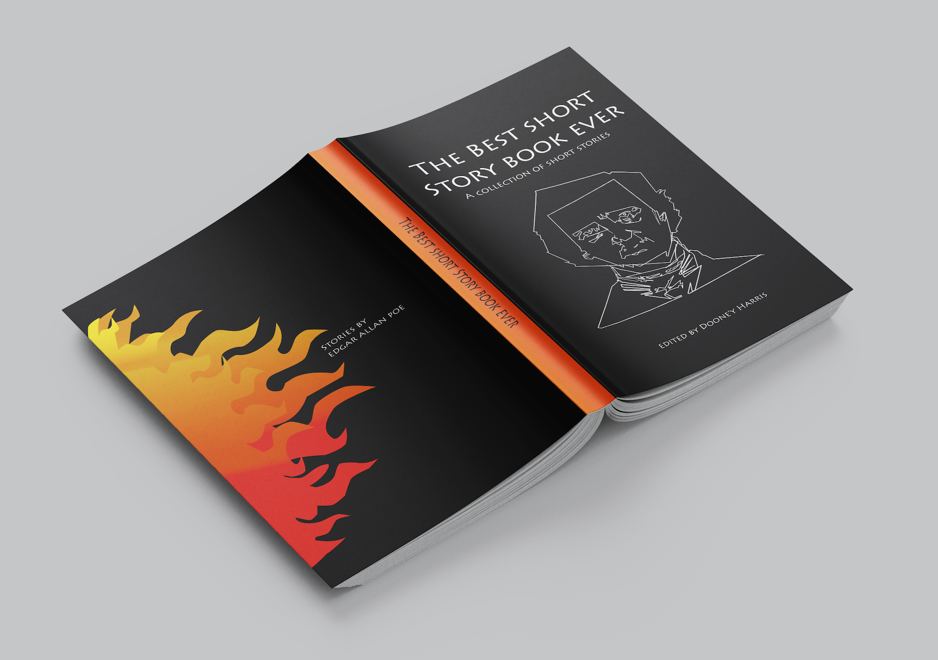 Short Story Book Cover