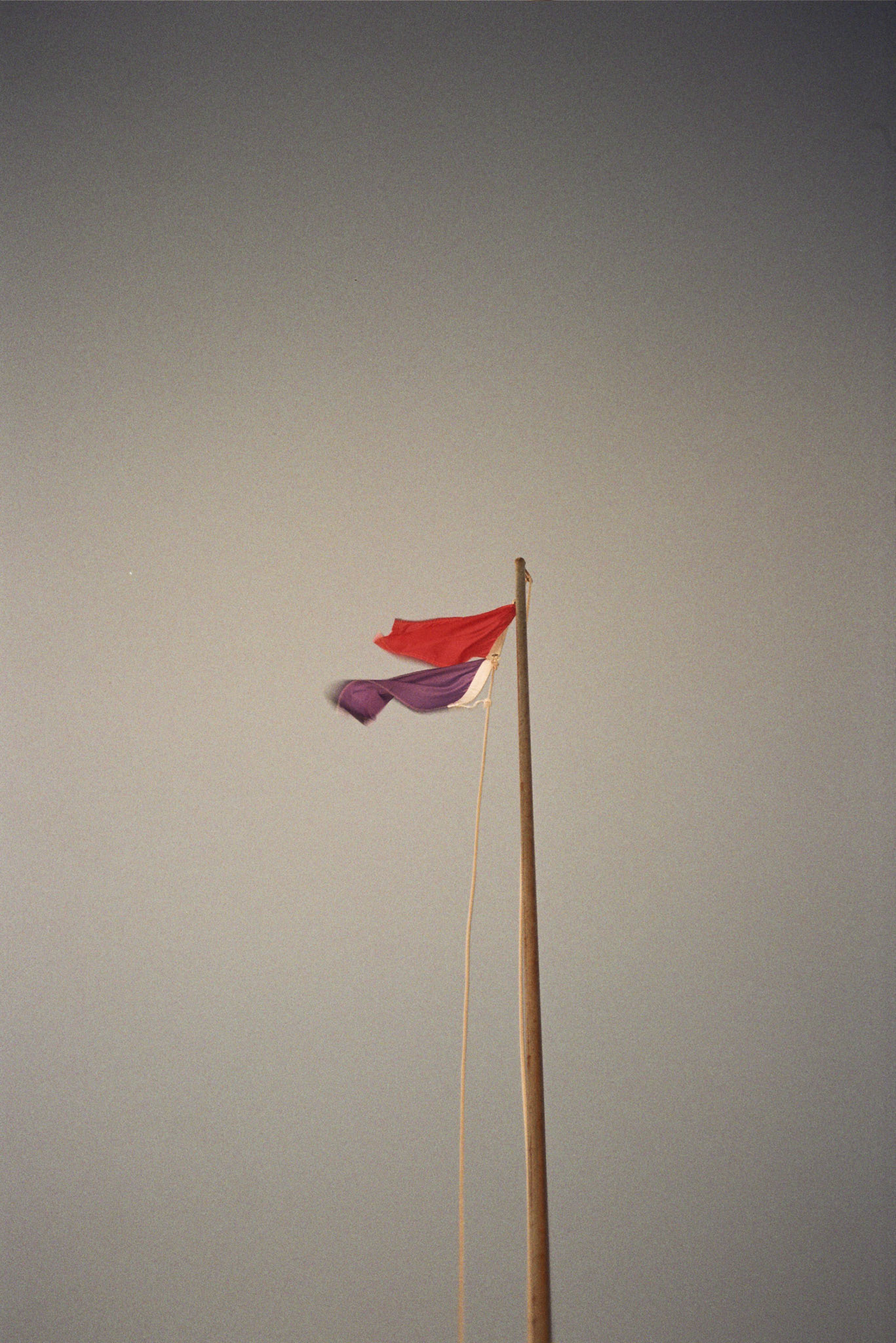 Autosave-File vom d-lab2/3 der AgfaPhoto GmbH