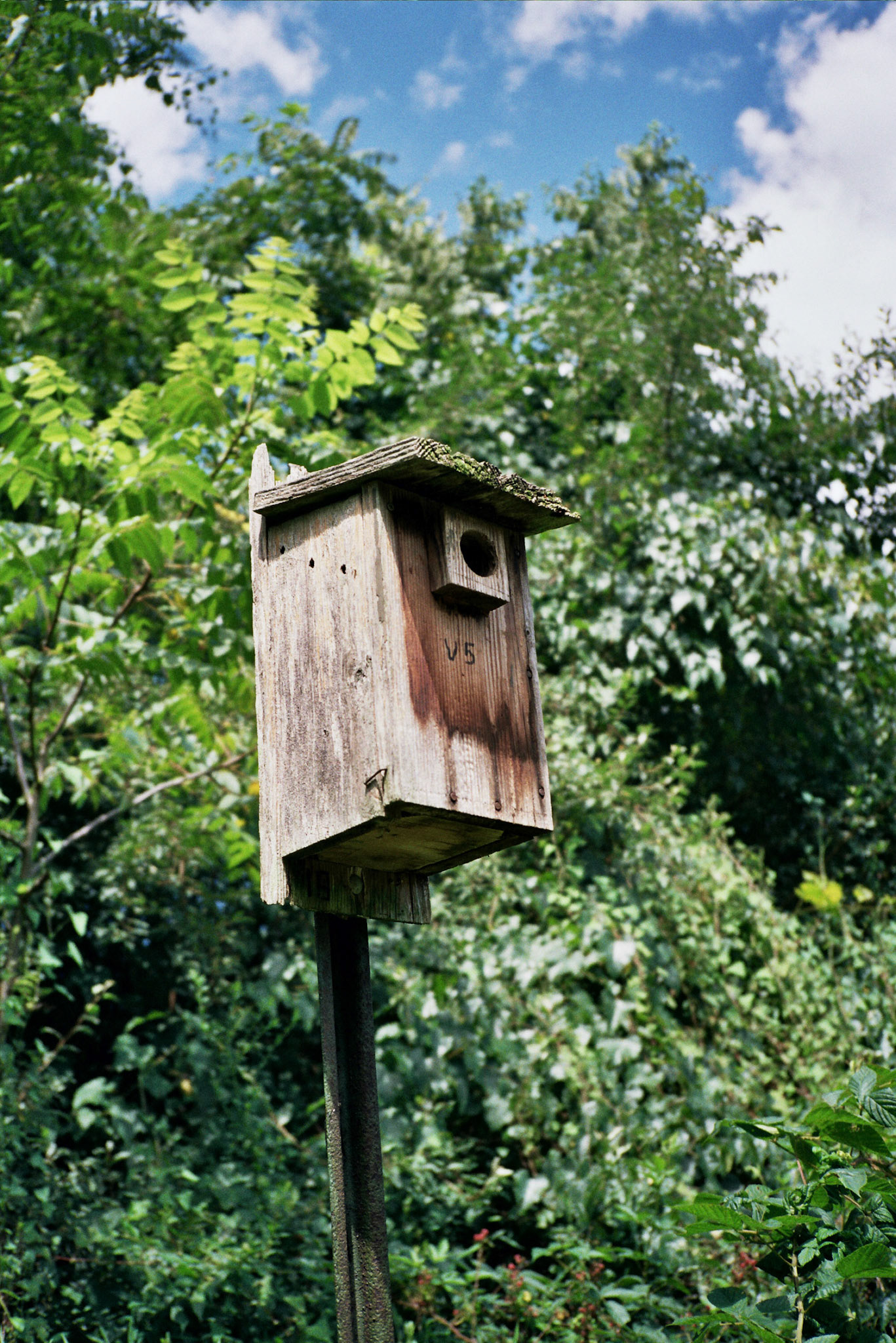 Autosave-File vom d-lab2/3 der AgfaPhoto GmbH