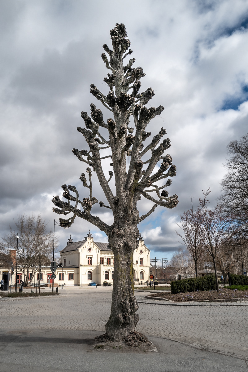 Enköping