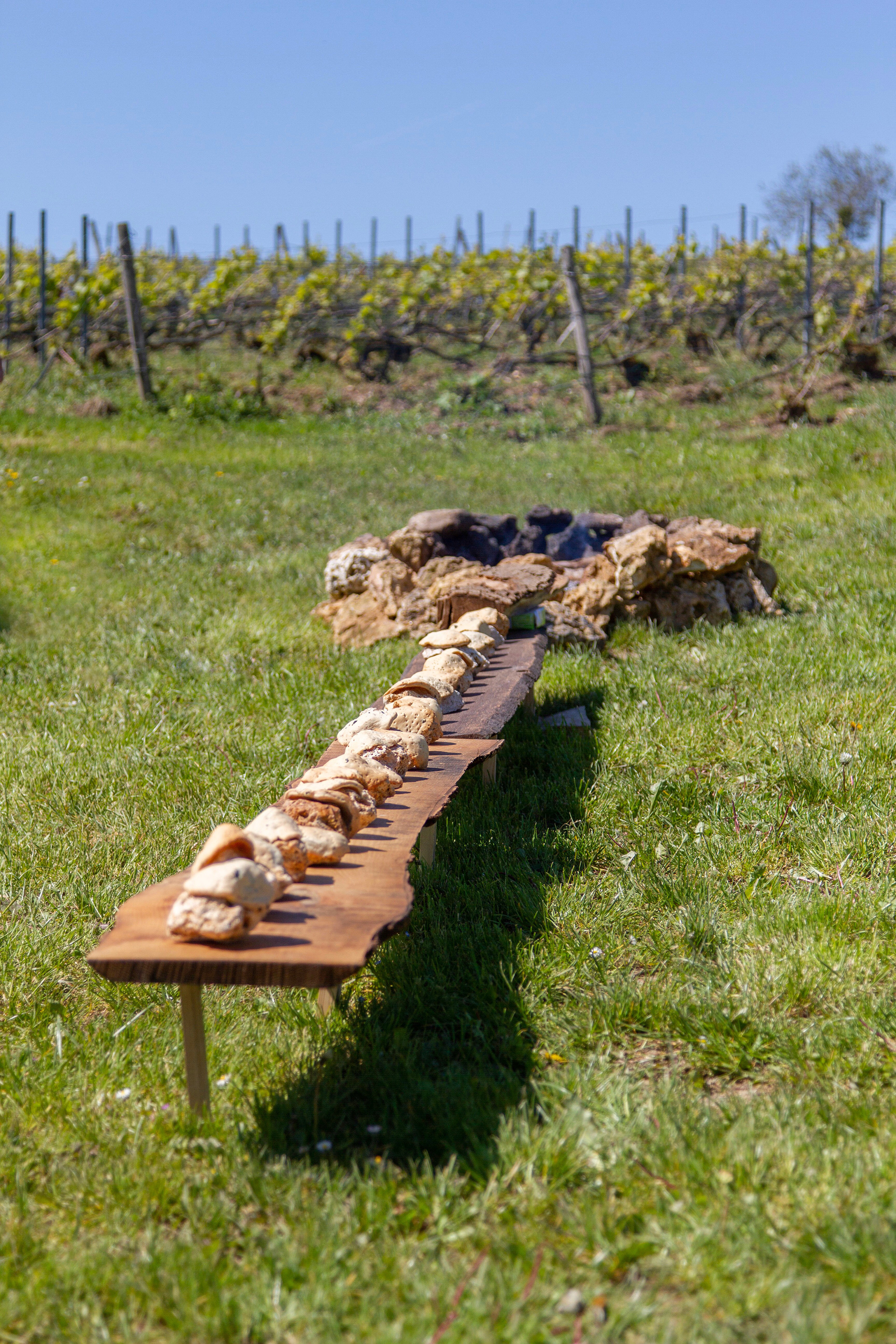 création d'un foyer au centre des vignes