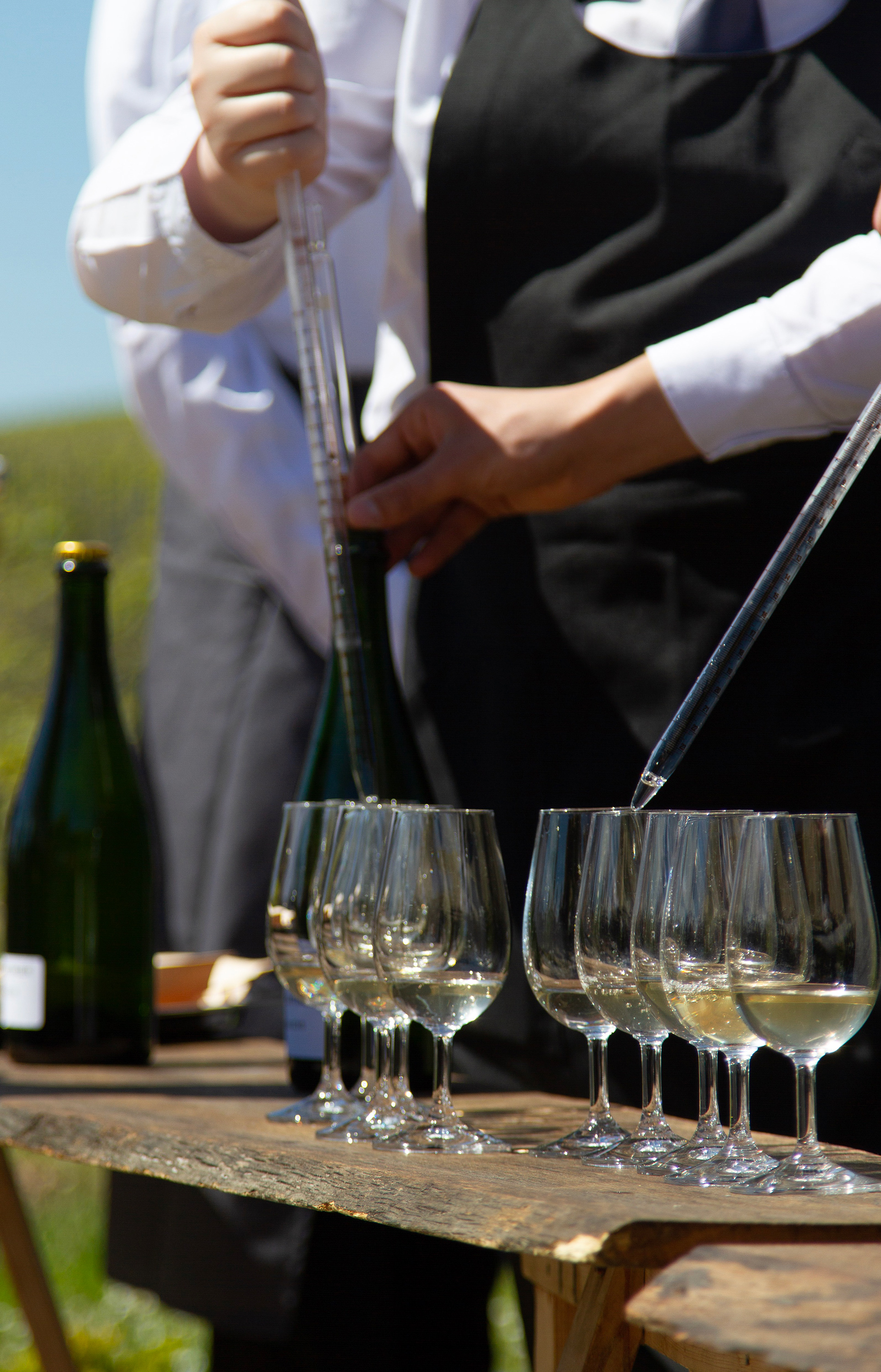 dégustation des vins clairs