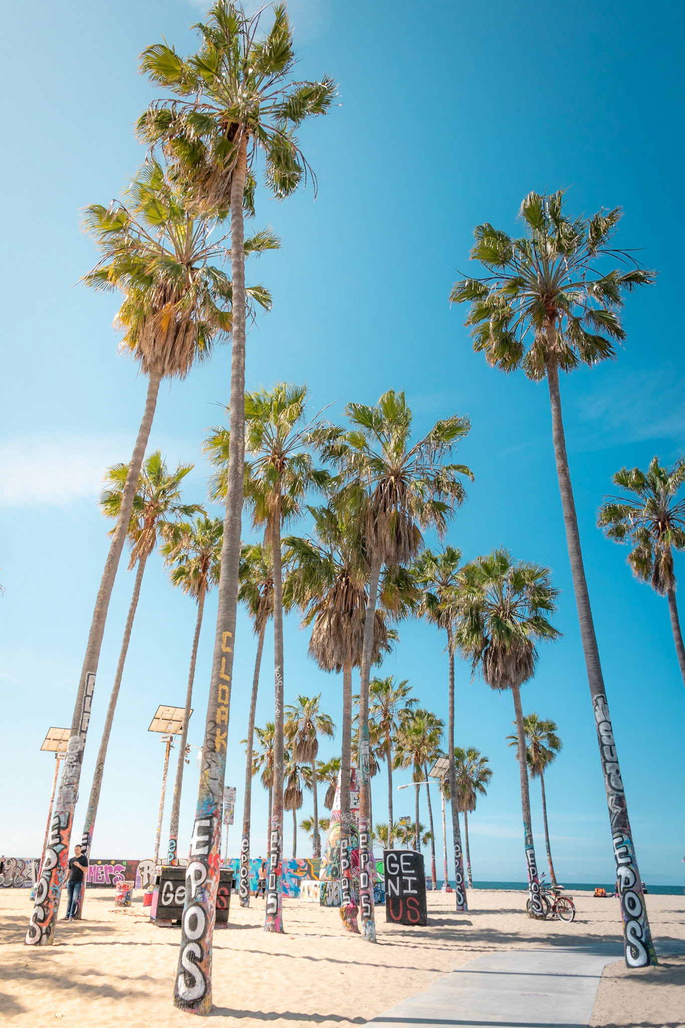 Venice Beach