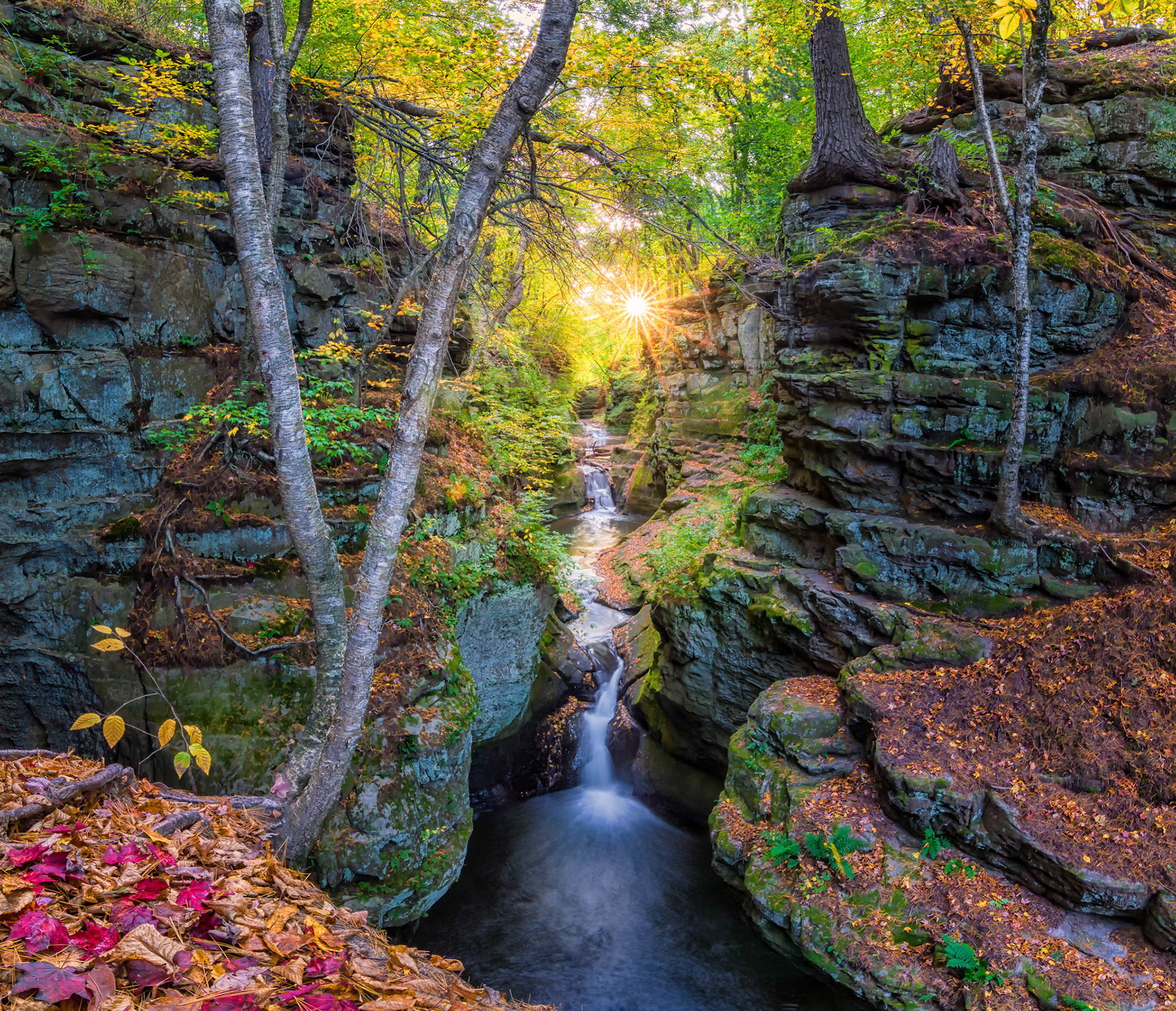 Pewit's Nest Sunrise