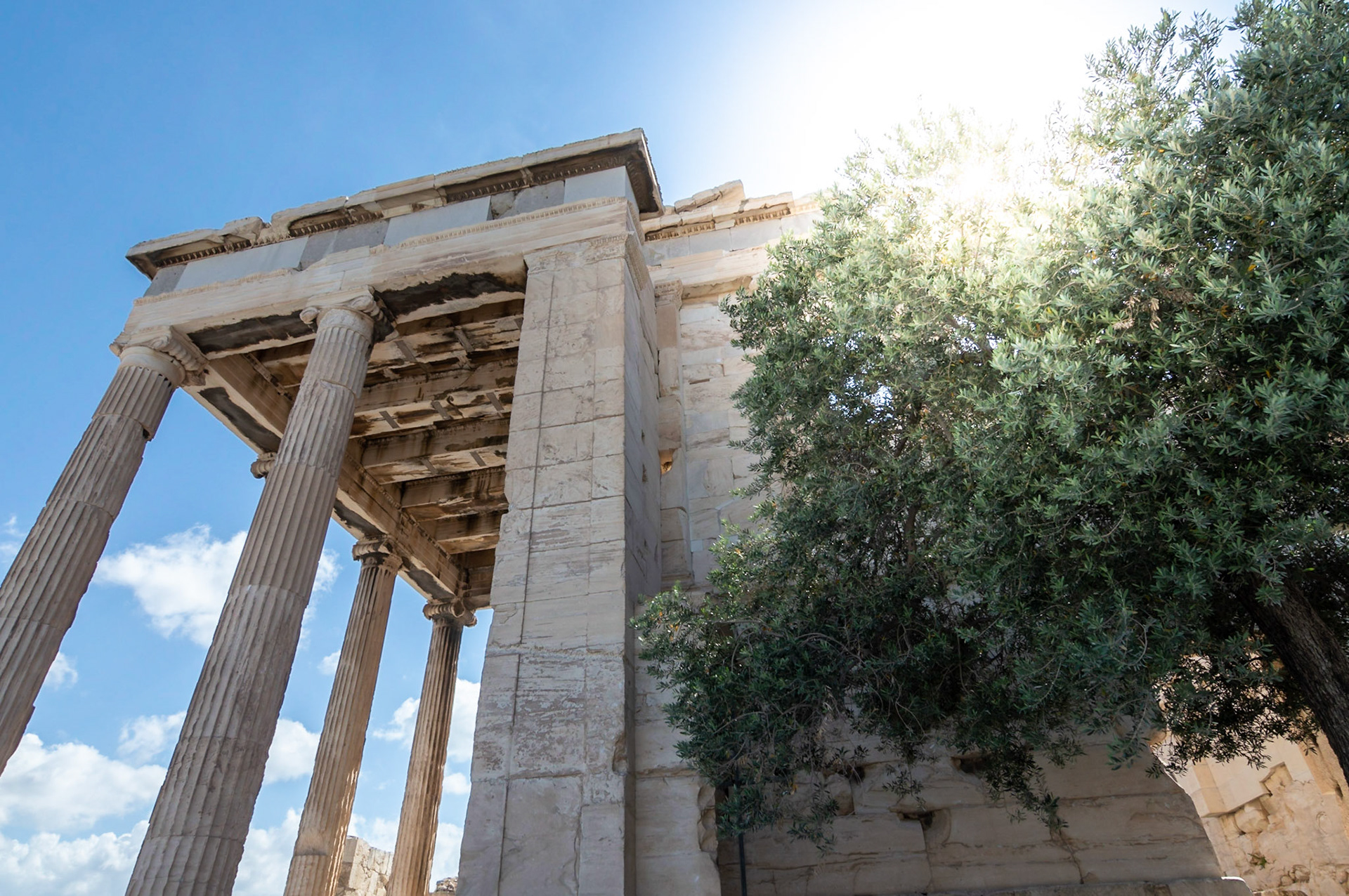 Erechtheion and an Olive Tree