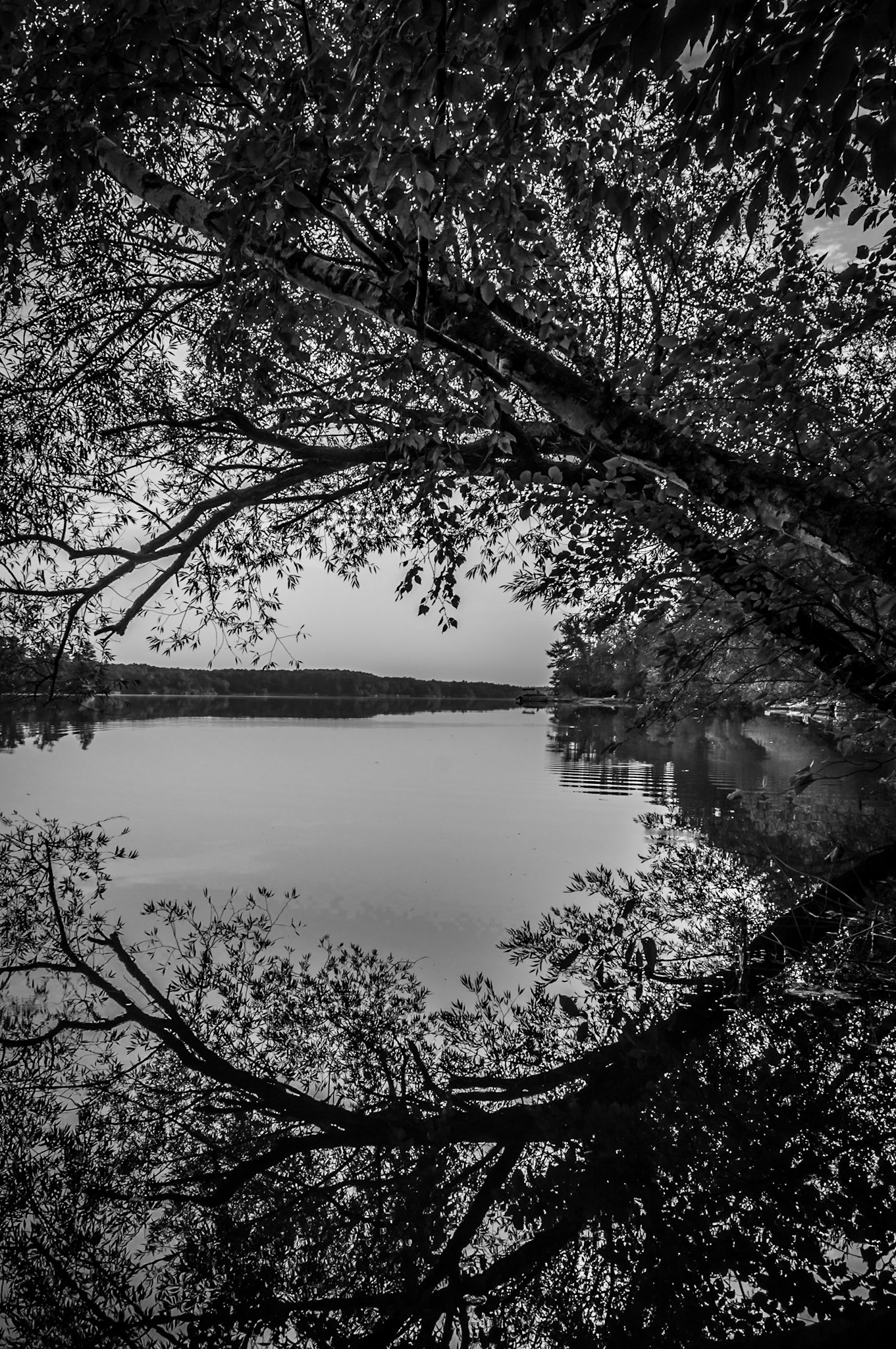 Lake Eau Claire Reflections