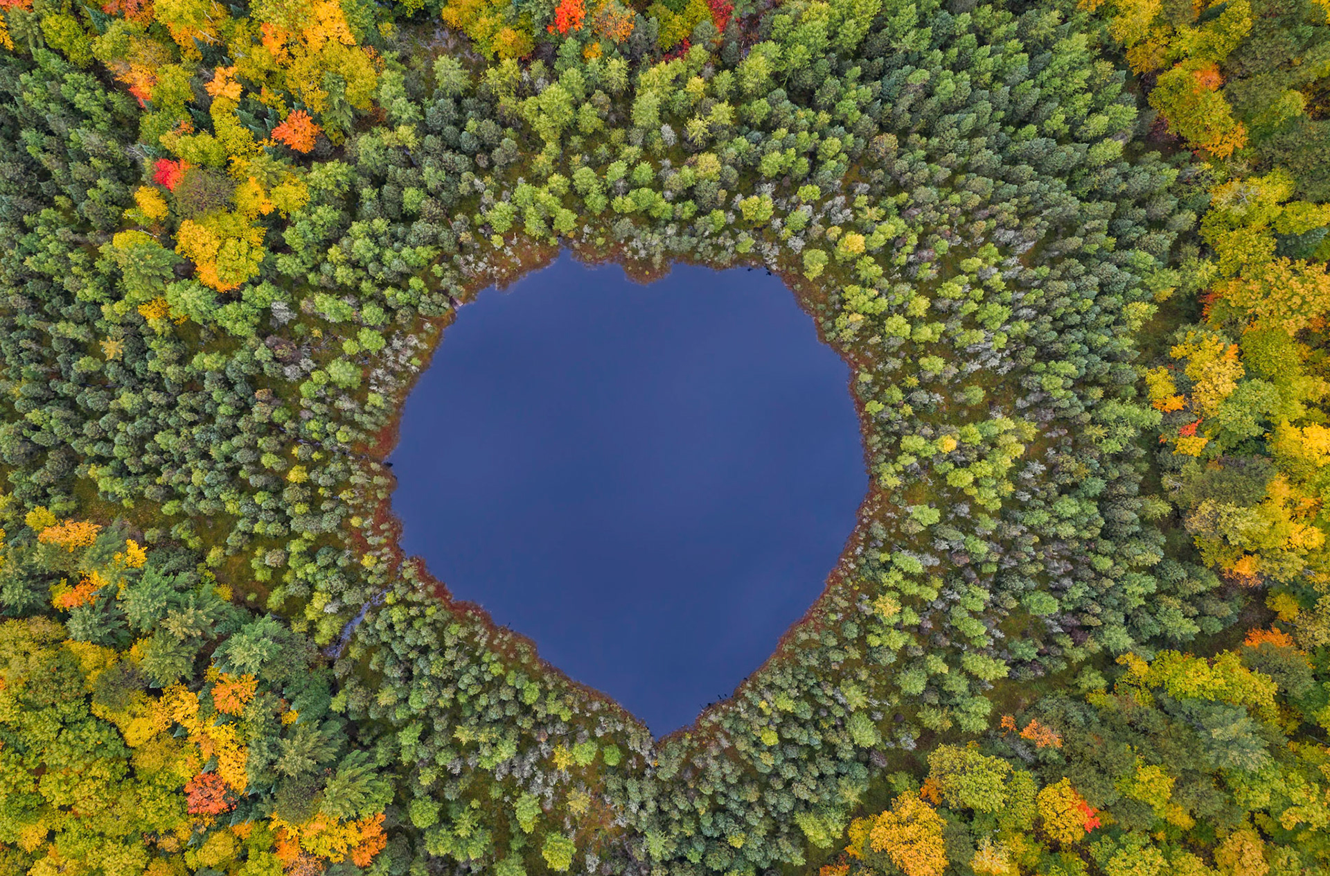 Heart of the Northwoods - Fall Edition
