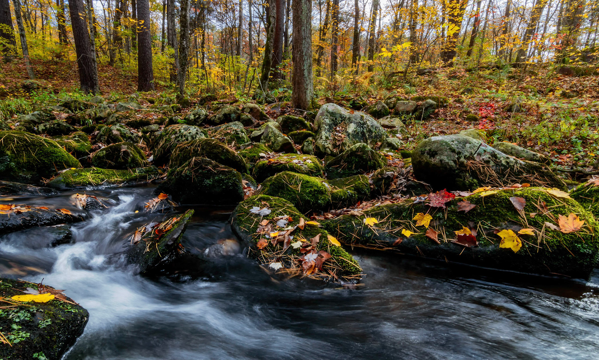 Otter Creek - Fall Flow