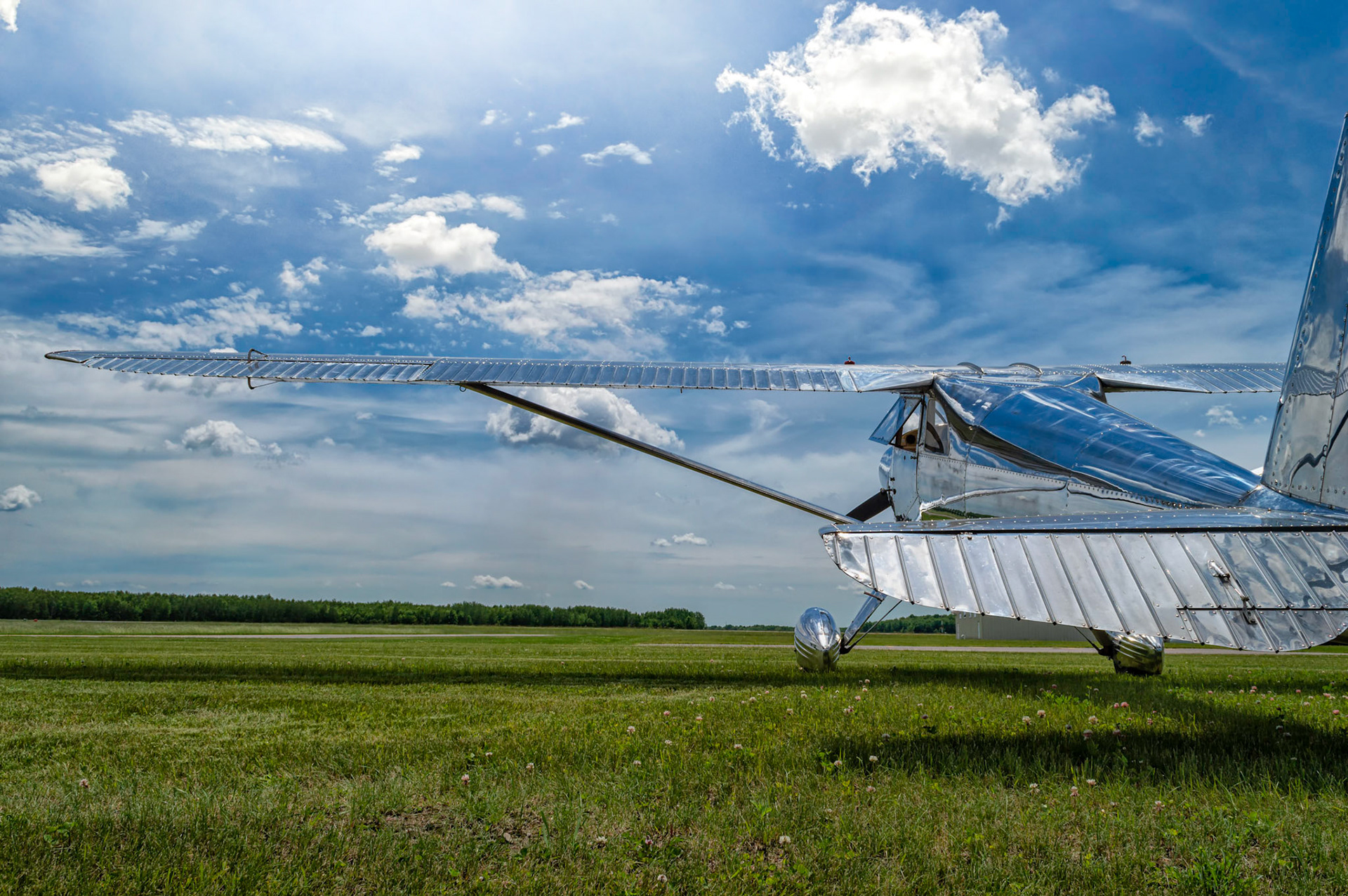 Luscombe Reflections