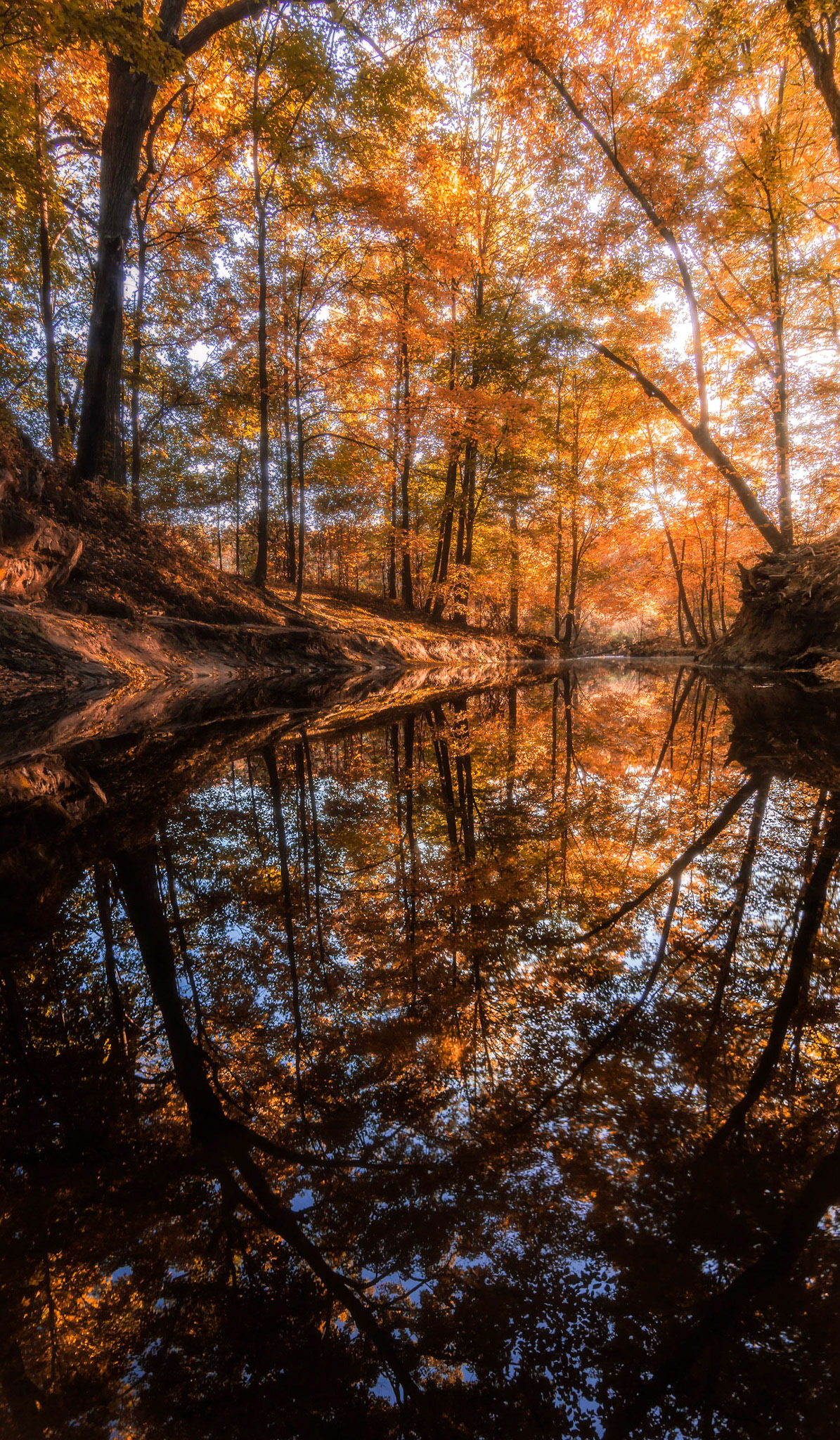 Fall Reflections