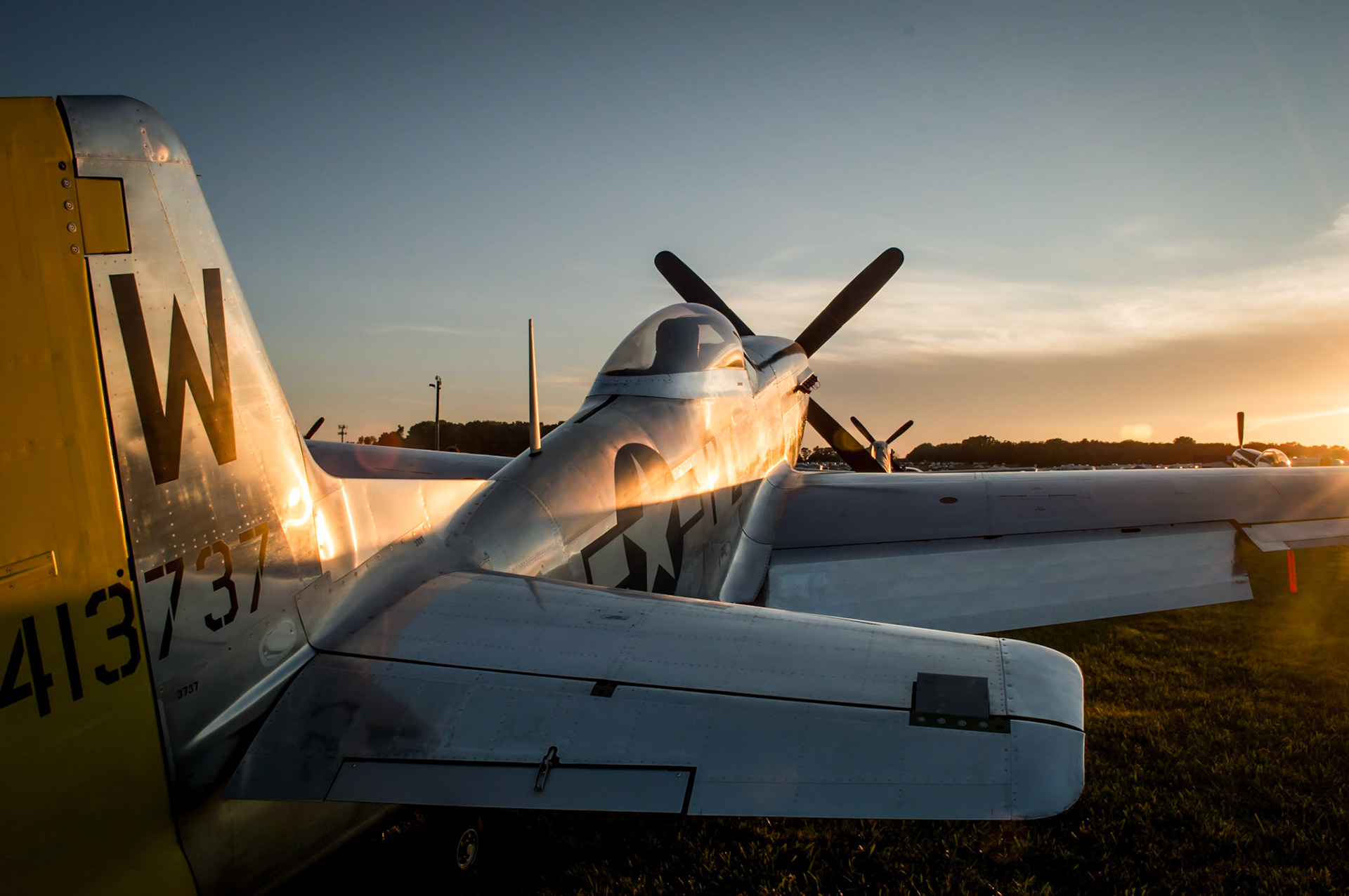 Mustang at Sunset