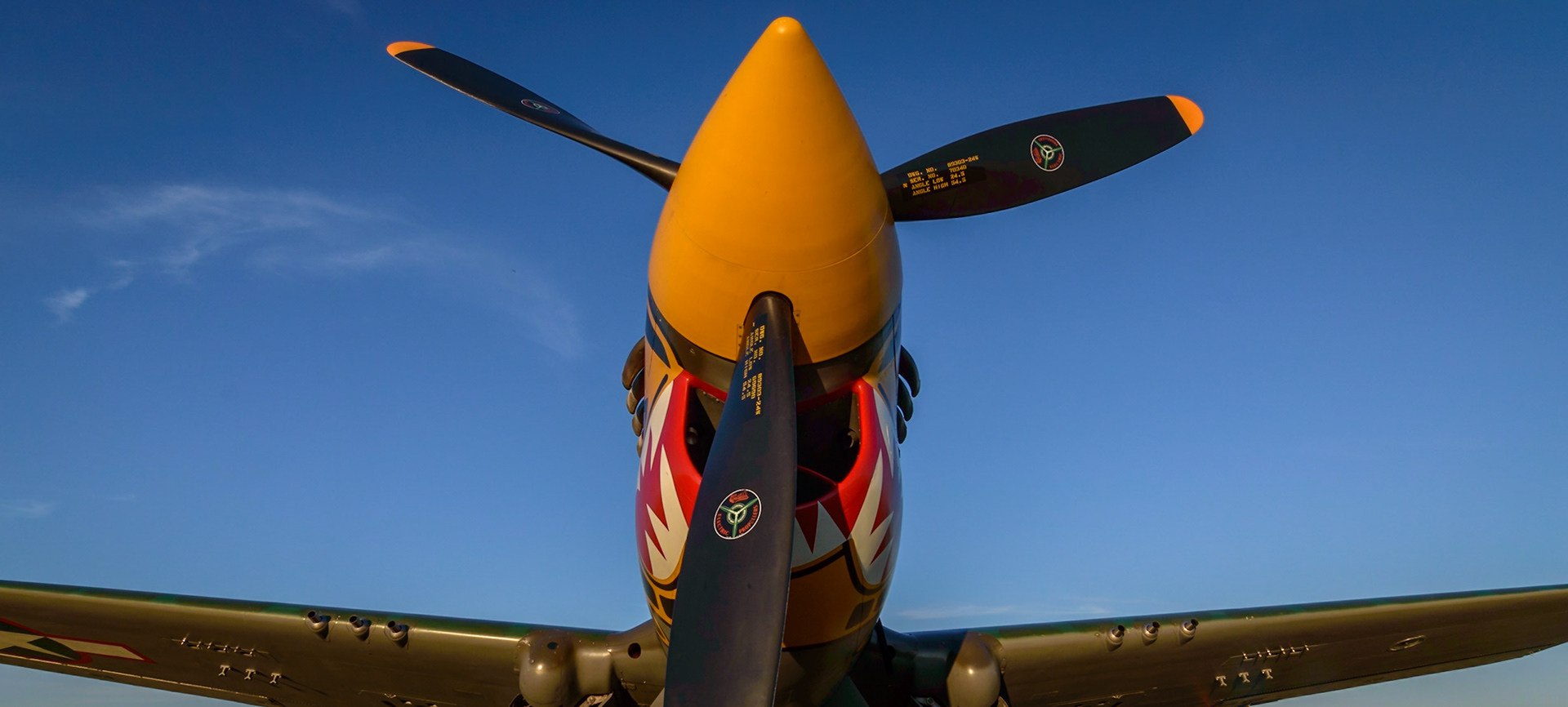 Curtiss P-40 Warhawk