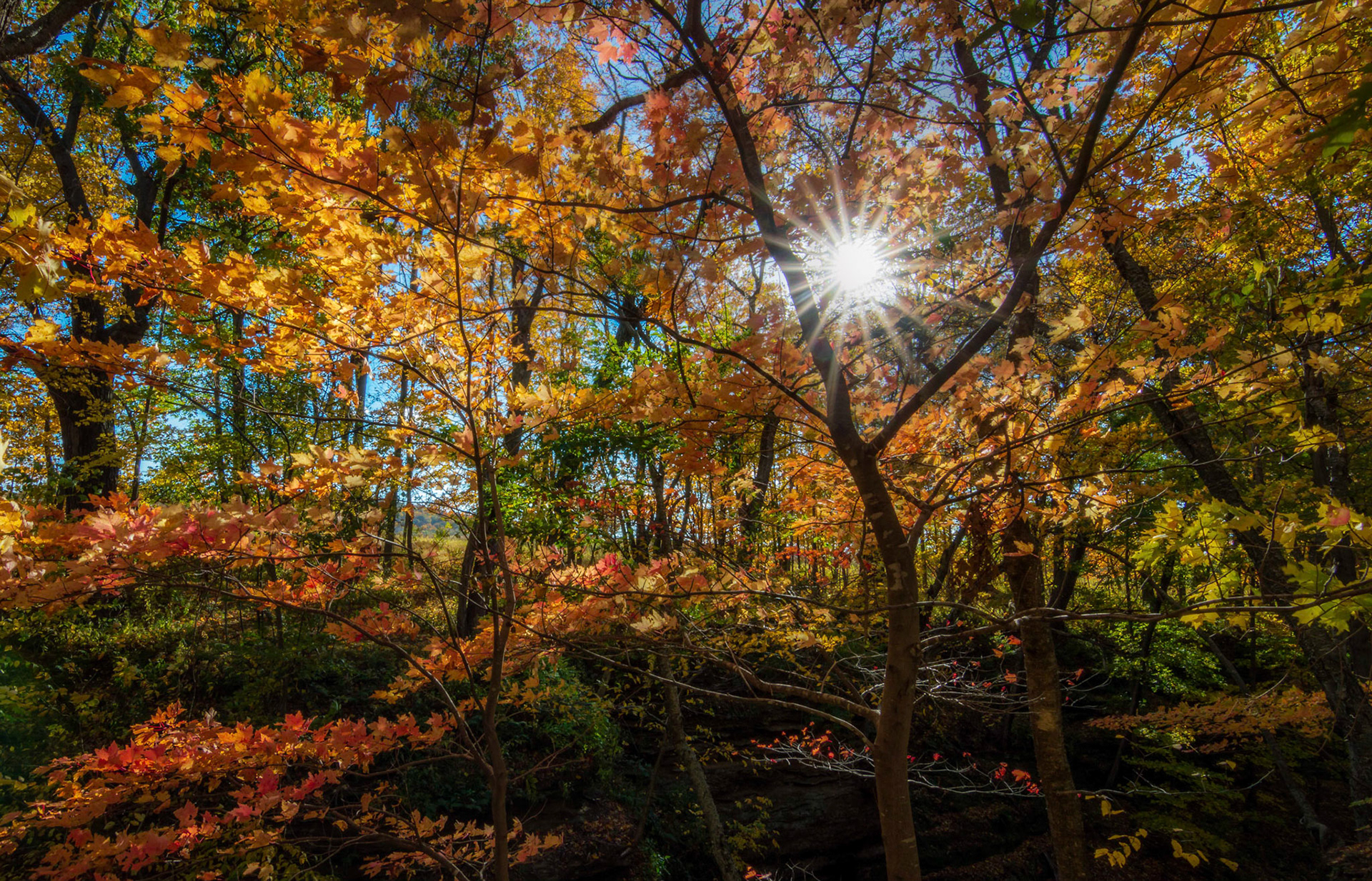 Pewit's Nest Kaleidoscope