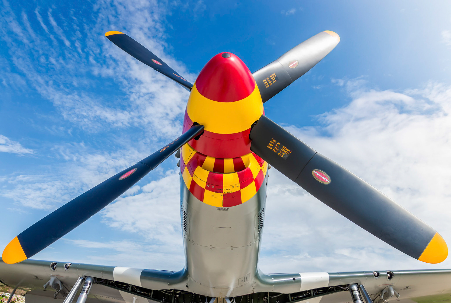 North American P-51 Mustang-Nose